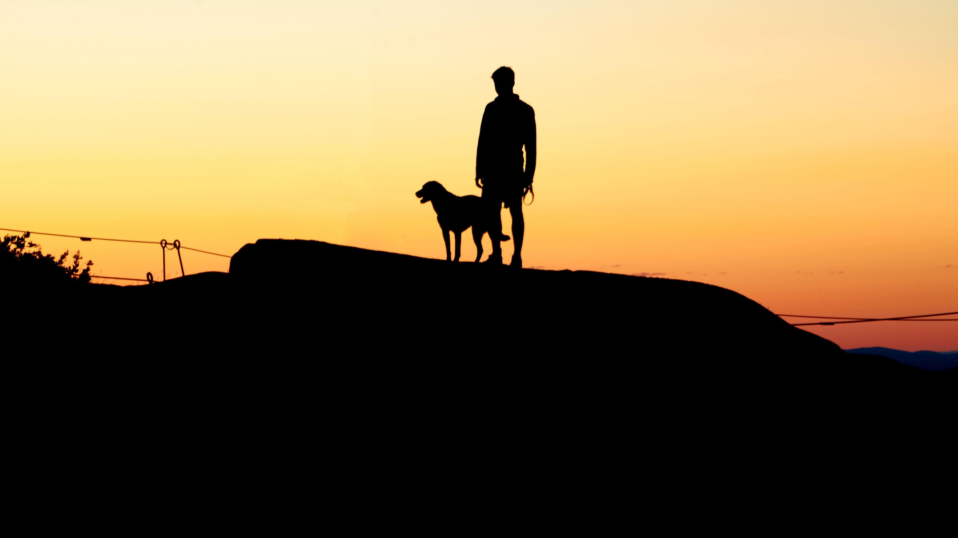silhouettes, man, dog, sunset, hill, 4k, HD Wallpaper