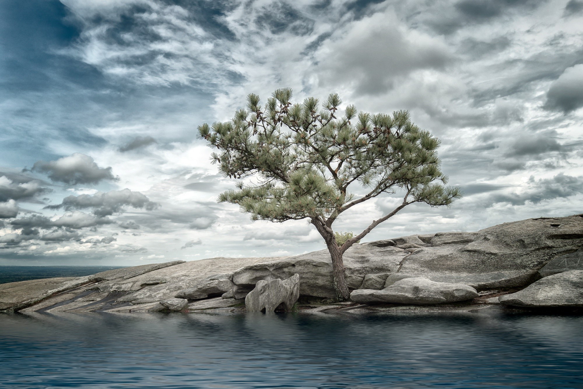 blue, trees, water, nature, sky, clouds, HD Wallpaper