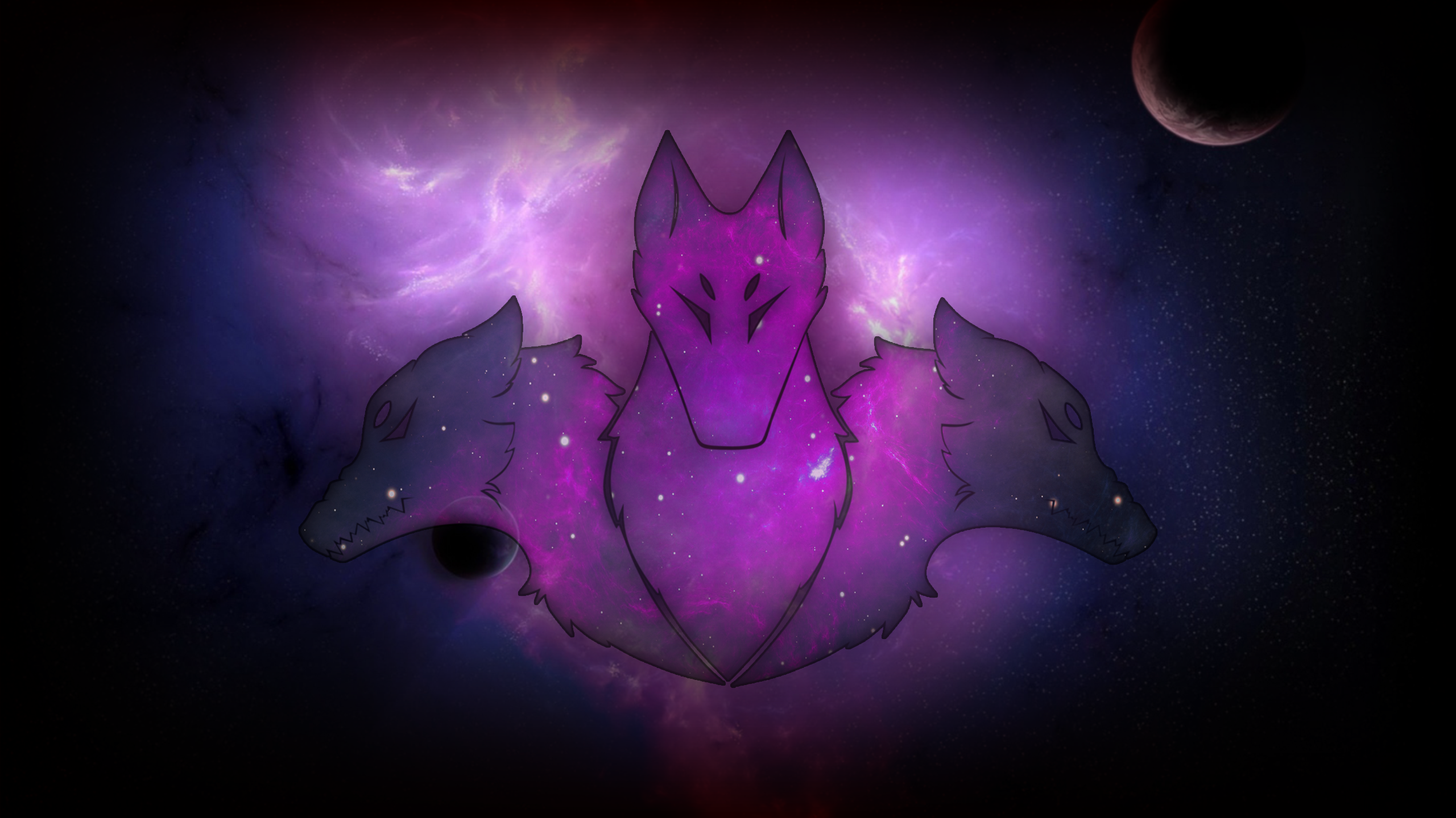 symmetry, dog, HD Wallpaper