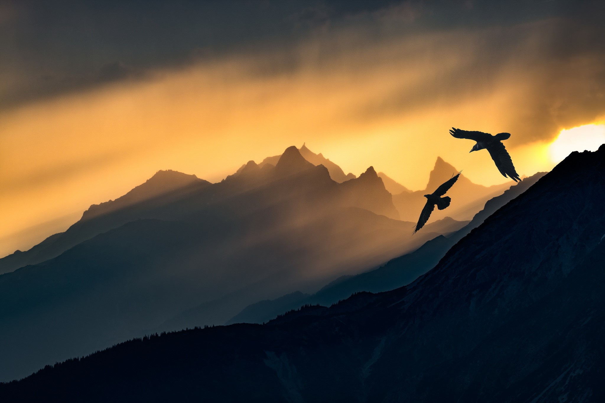 dark, sky, sunlight, birds, nature, animals, mountains, HD Wallpaper