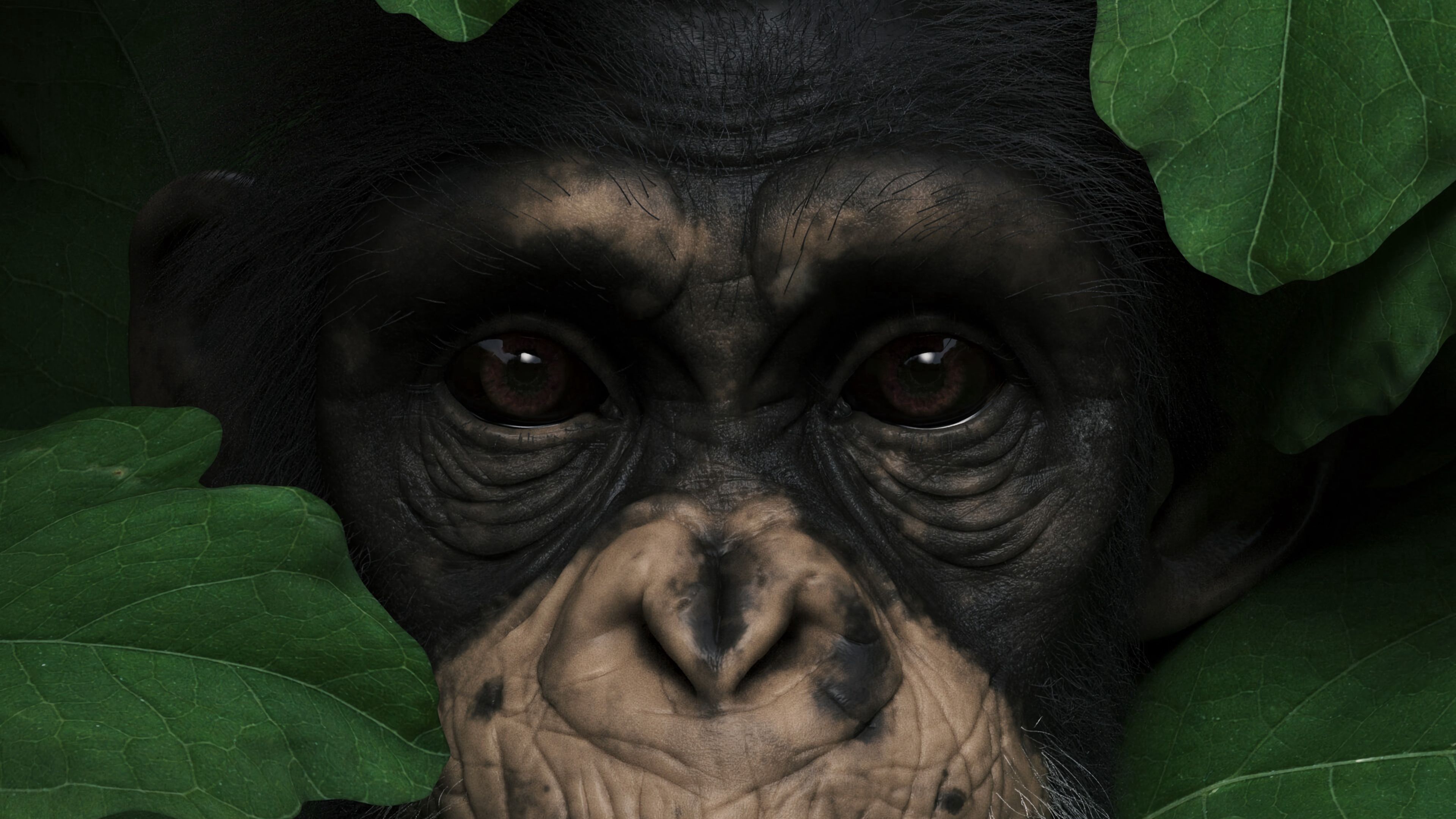 monkey, muzzle, leaves, portrait, 3d, 4k, HD Wallpaper