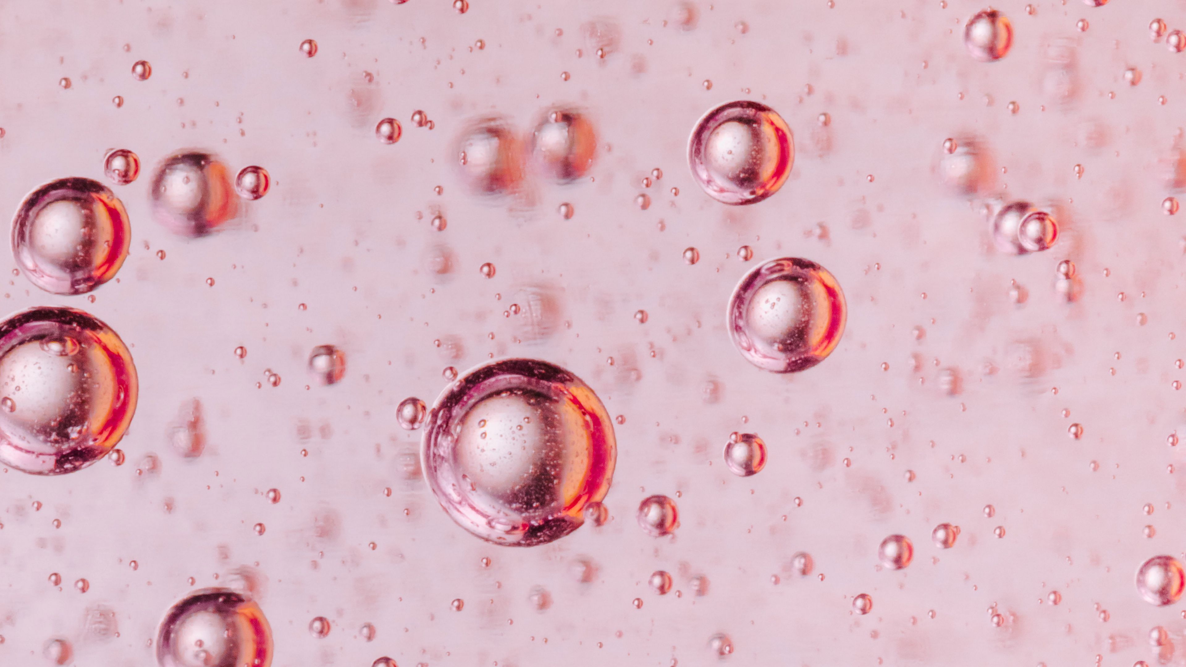 bubbles, liquid, macro, pink, 4k, HD Wallpaper