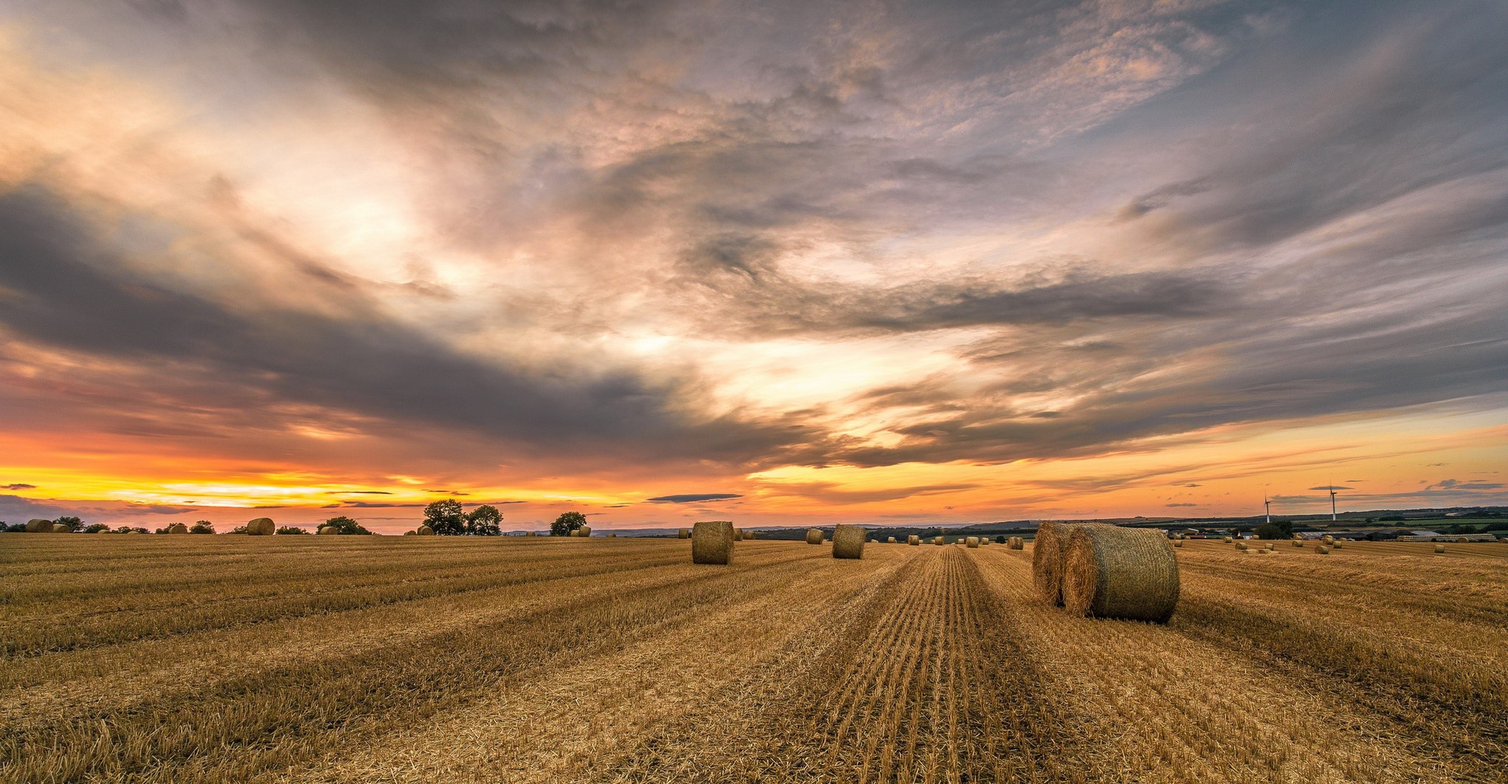field, landscape, sky, sunlight, clouds, HD Wallpaper