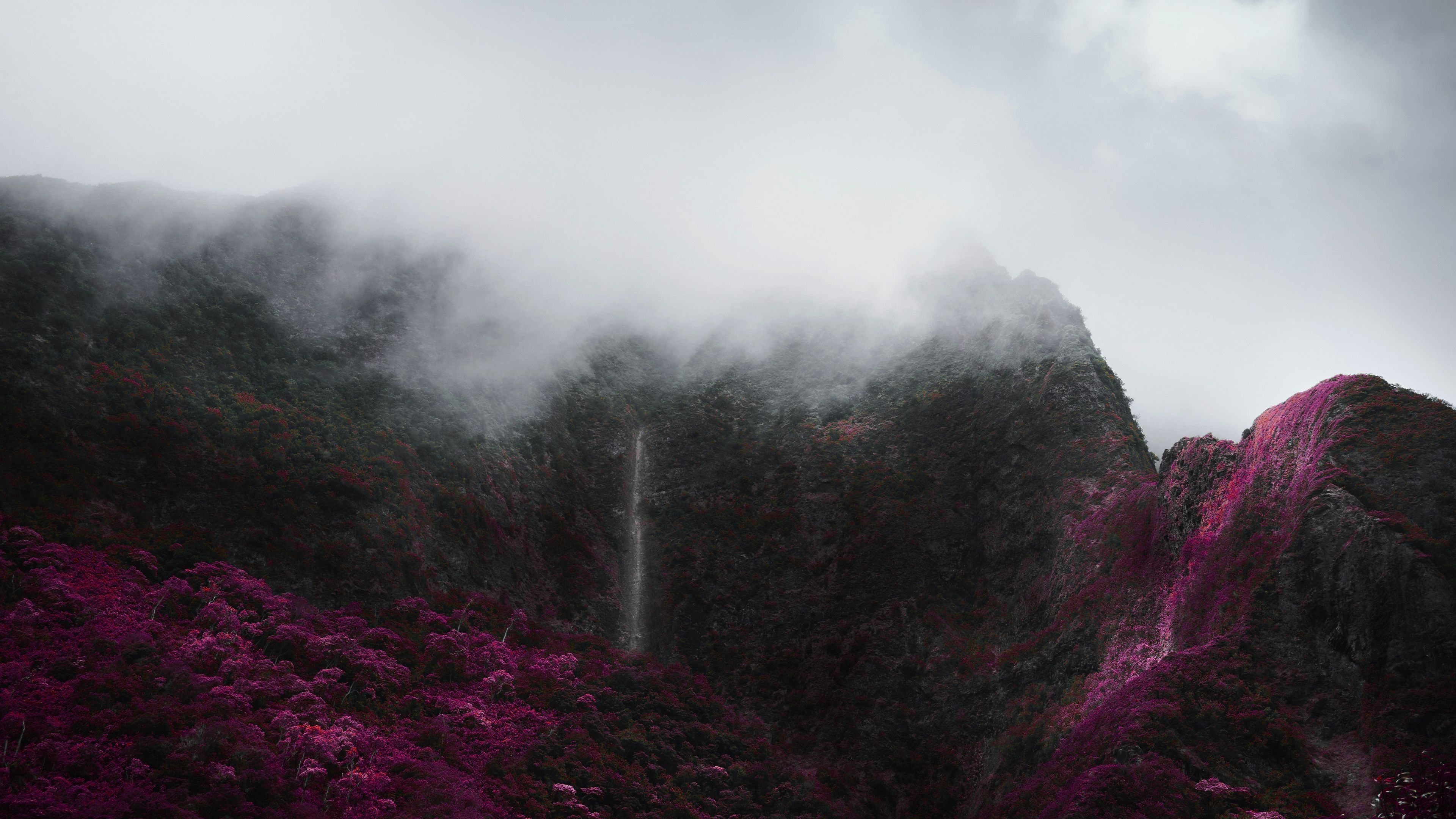 mountains, fog, clouds, trees, vegetation, landscape, 4k, HD Wallpaper
