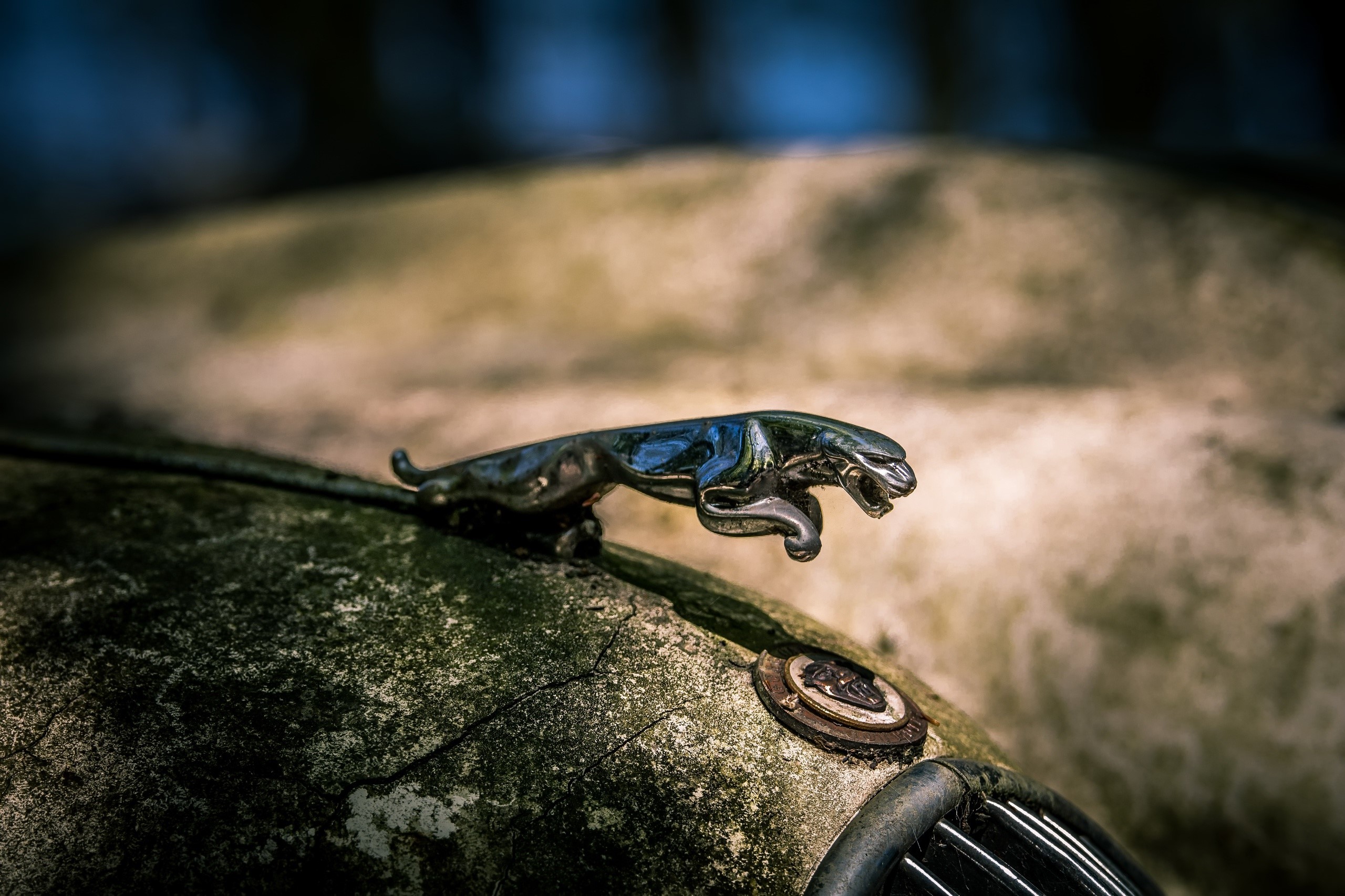 Jaguar, old, car, macro, vehicle, HD Wallpaper