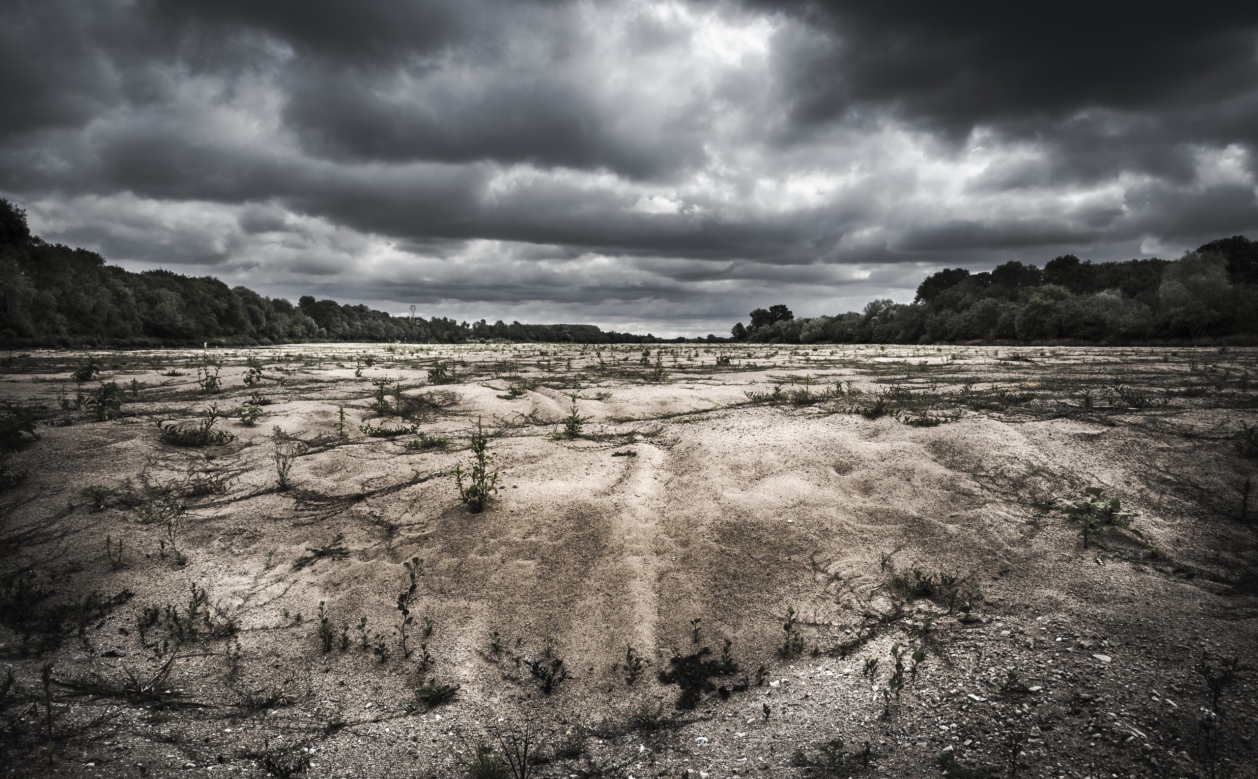 dark, sky, clouds, nature, plants, landscape, HD Wallpaper