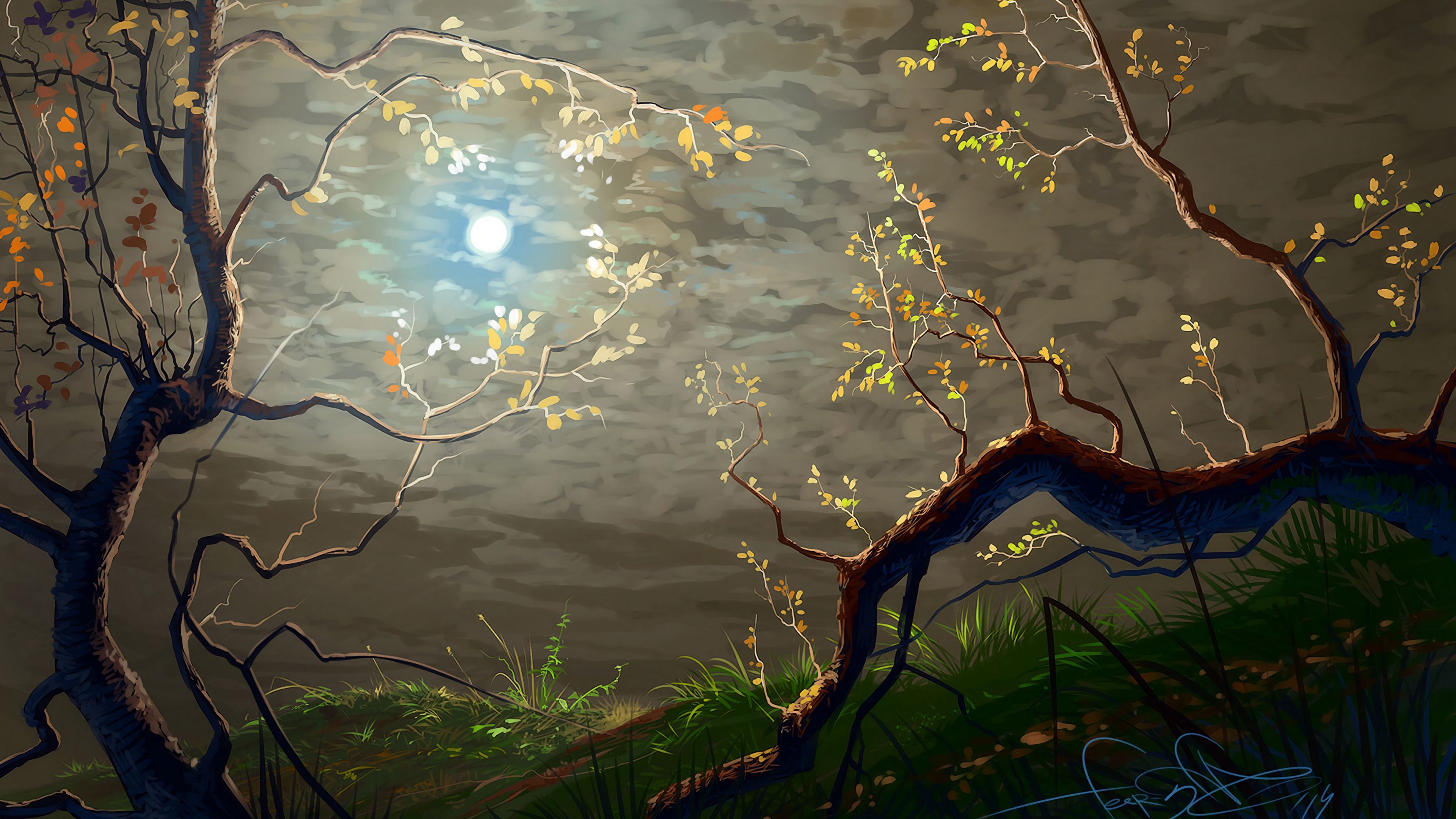 sun, clouds, art, branches, trees, 4k, HD Wallpaper