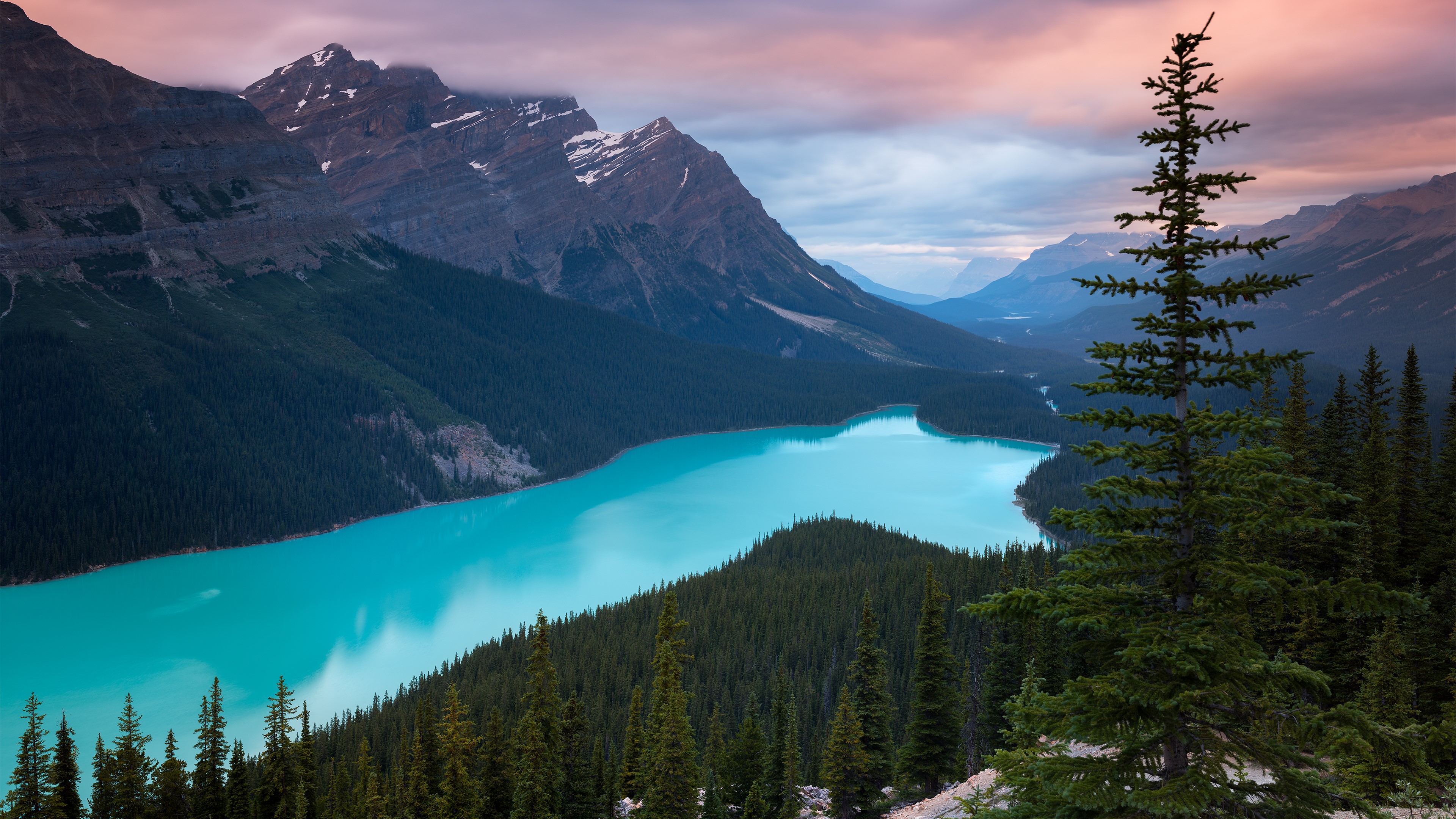 landscape, Ultra  HD, mountains, forest, HD Wallpaper