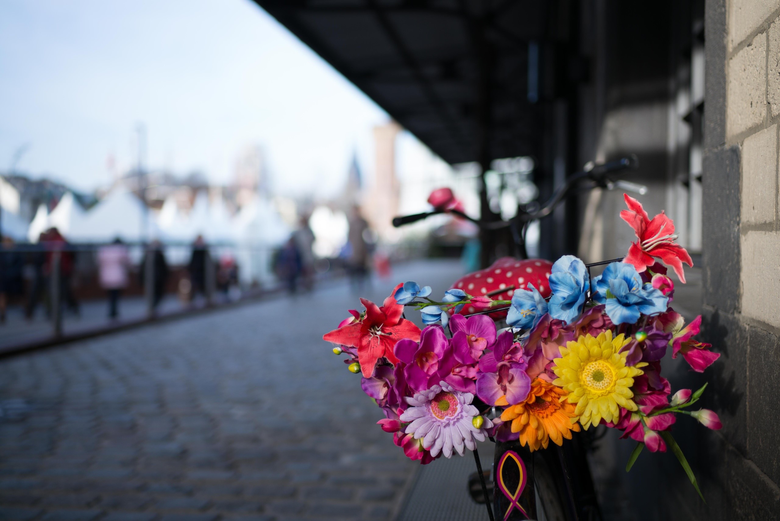 city, flowers, plants, colorful, HD Wallpaper