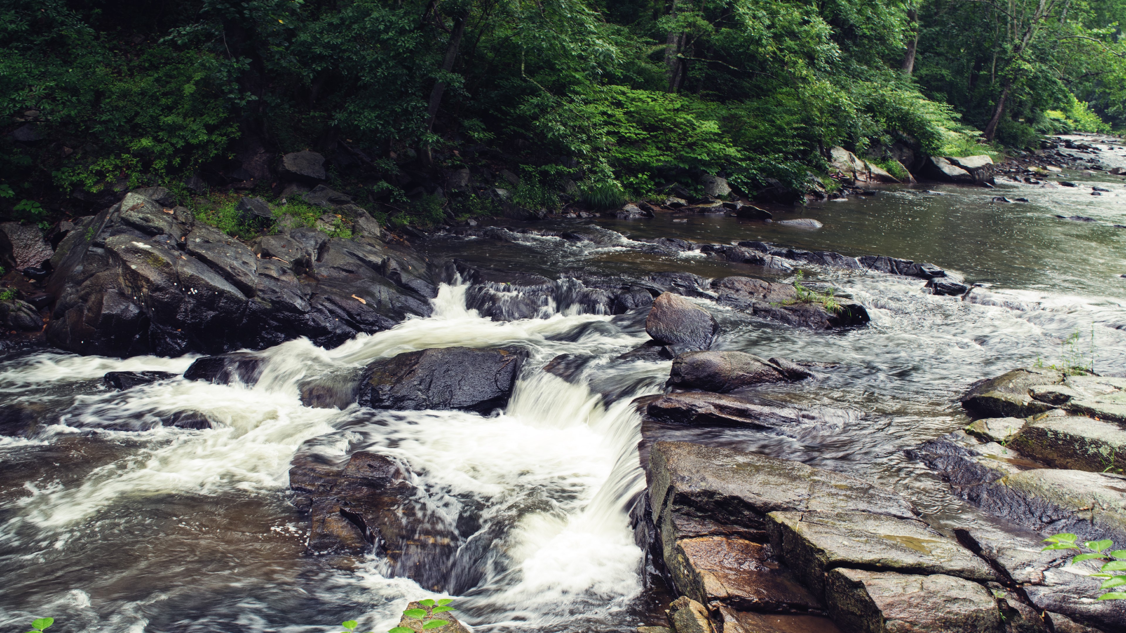 nature, outdoors, water, river, HD Wallpaper
