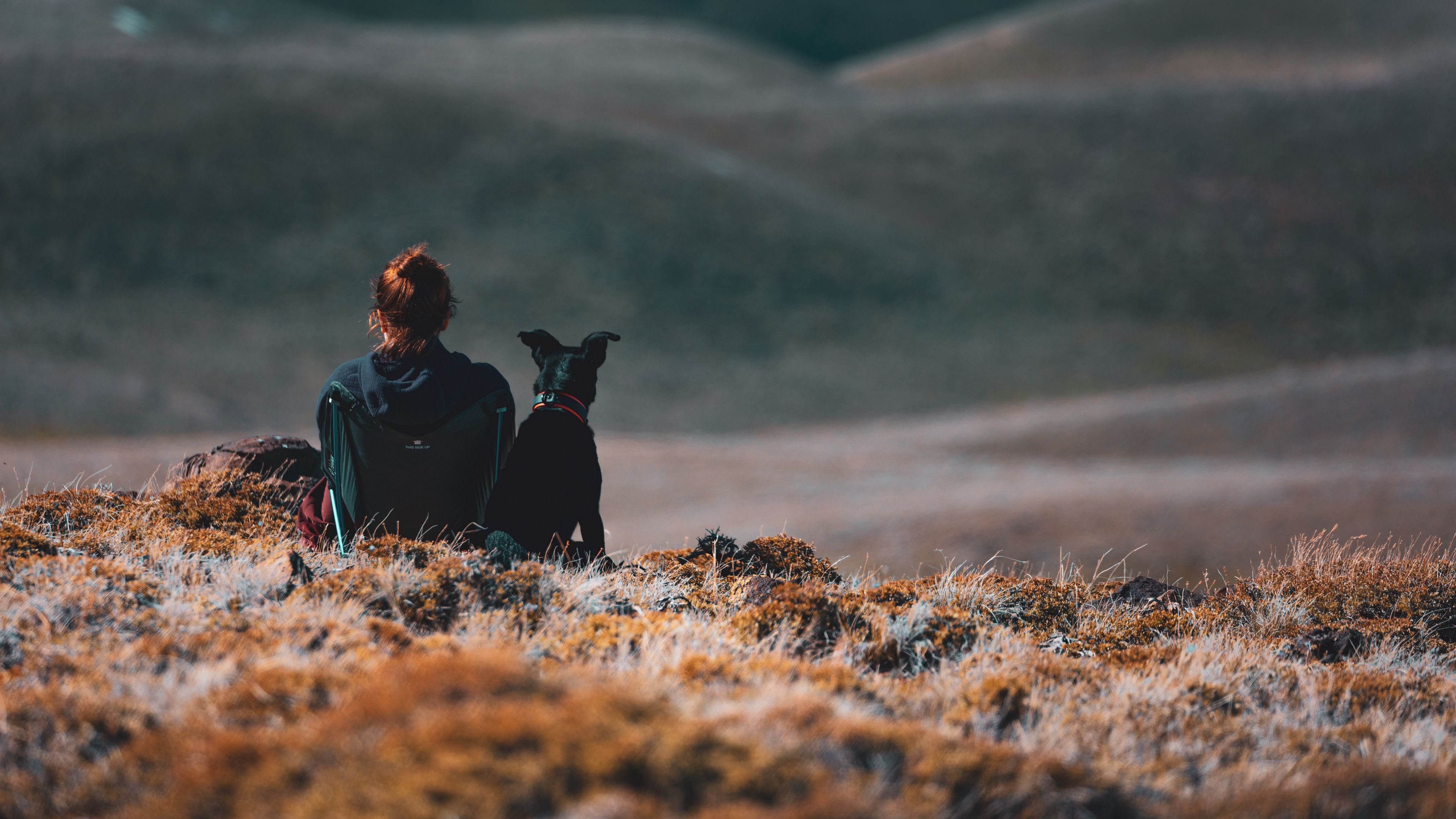 girl, dog, friends, mountains, trip, 4k, HD Wallpaper
