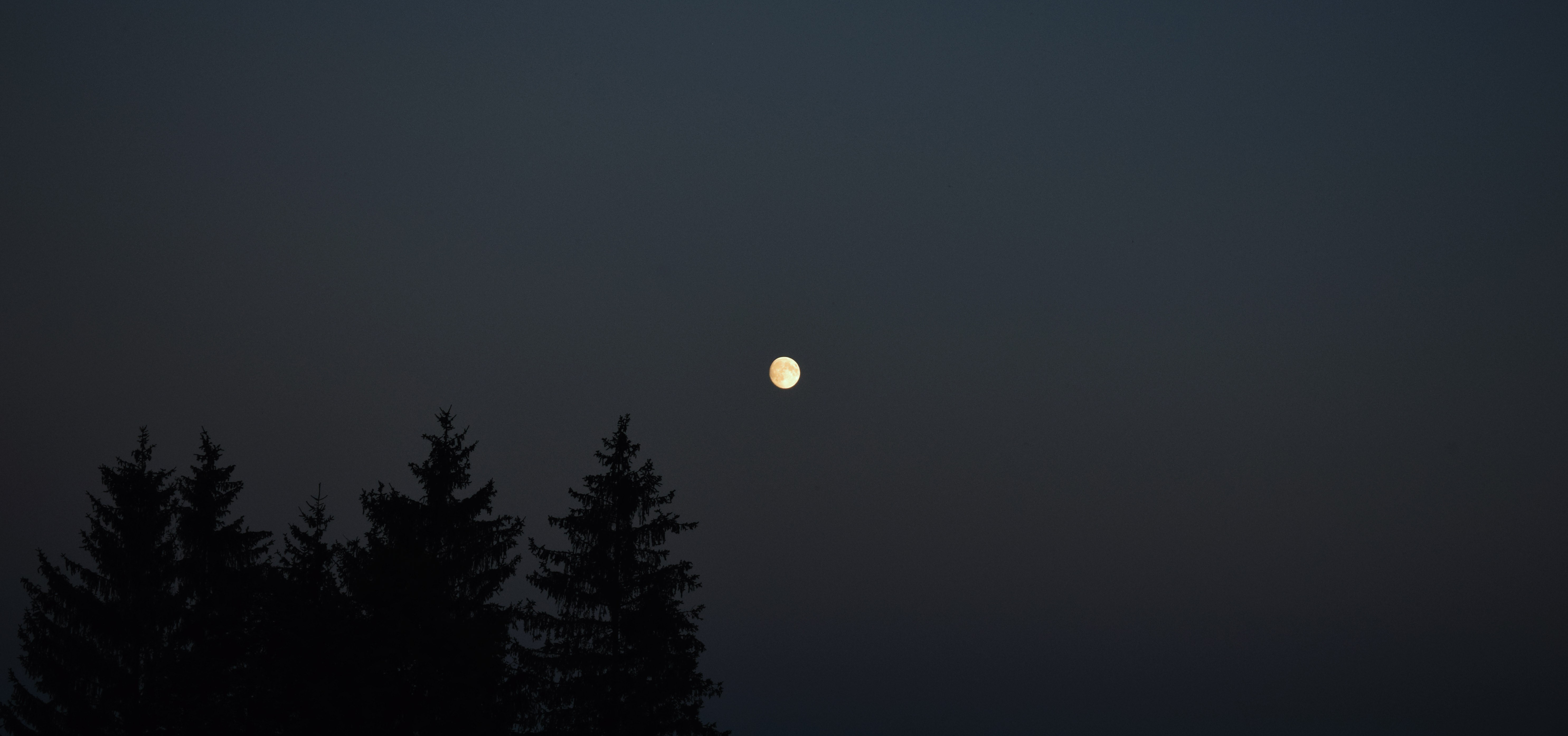 Moon, moonlight, sunset, sky, HD Wallpaper