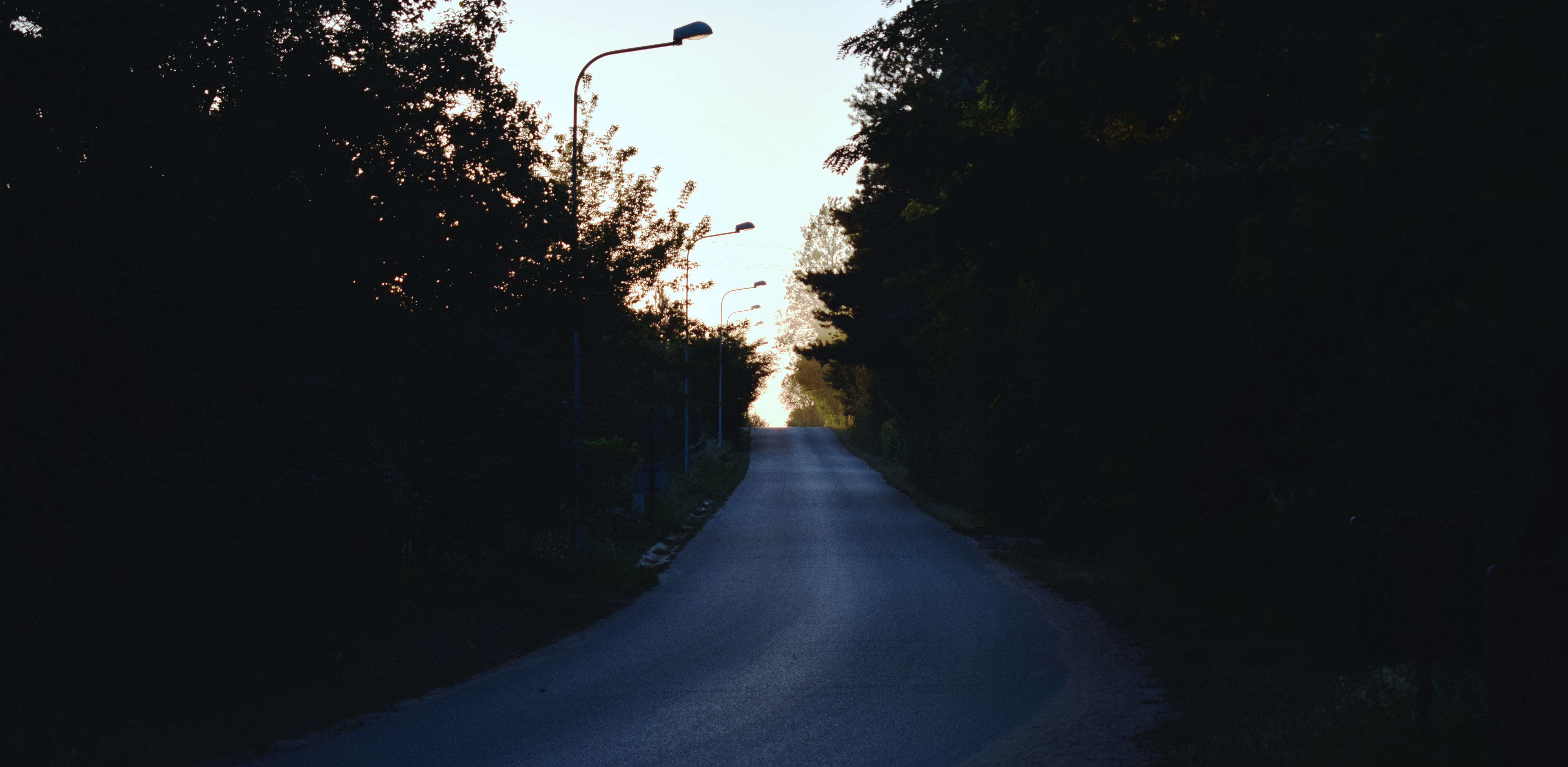 road, hills, forest, rock, photography, HD Wallpaper