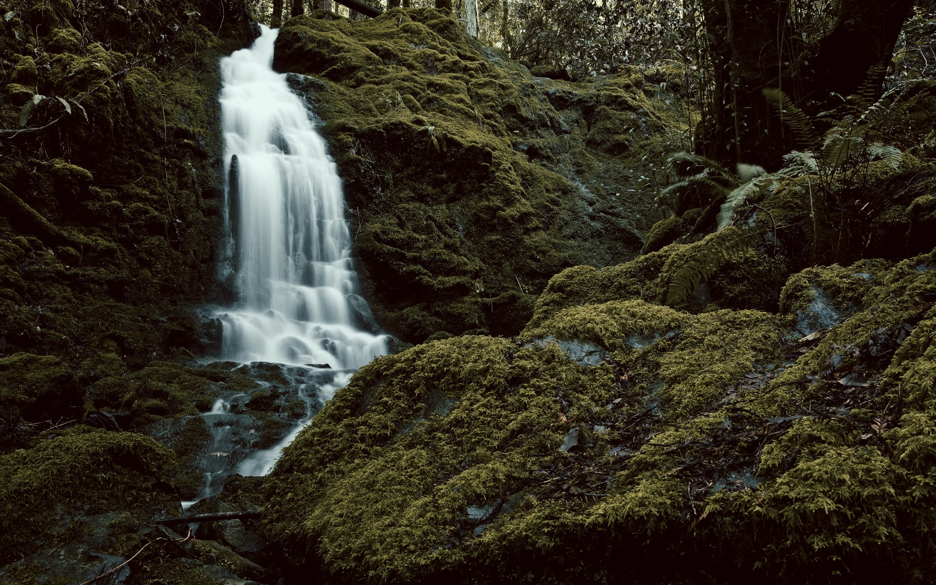 waterfall, stones, nature, moss, HD Wallpaper
