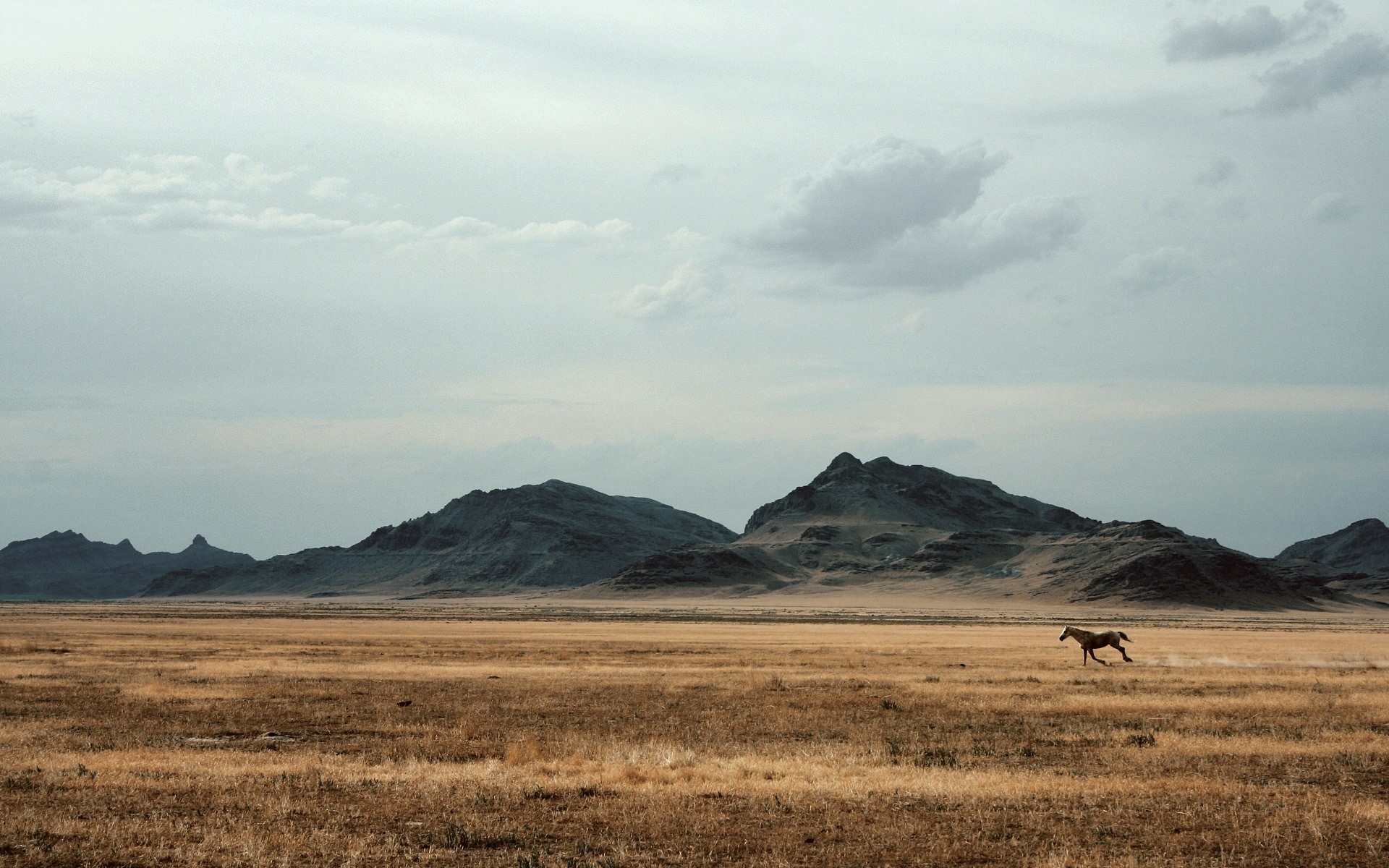 horse, mountains, sky, field, HD Wallpaper