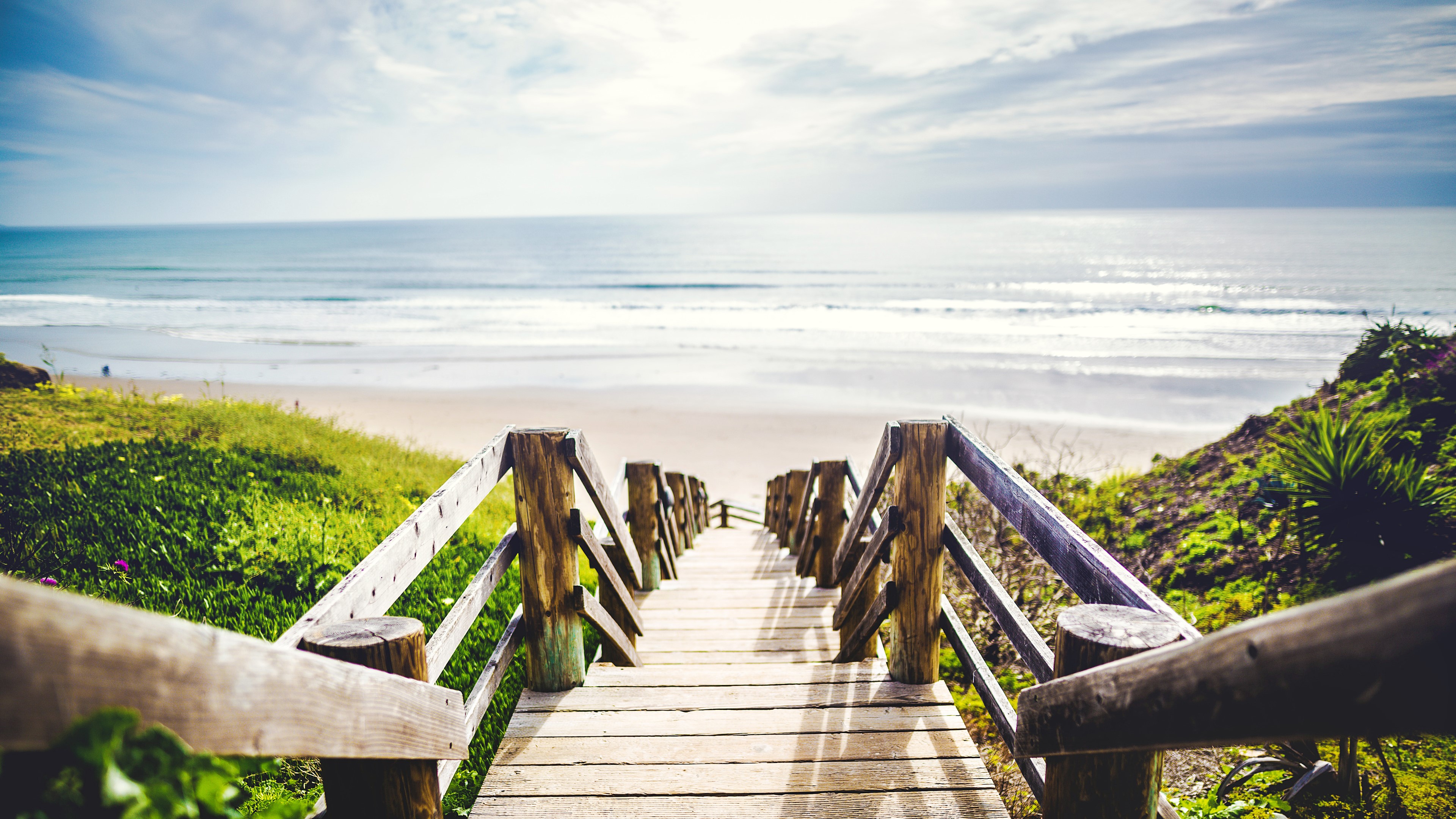 sea, beach, plants, green, stairs, water, sand, HD Wallpaper