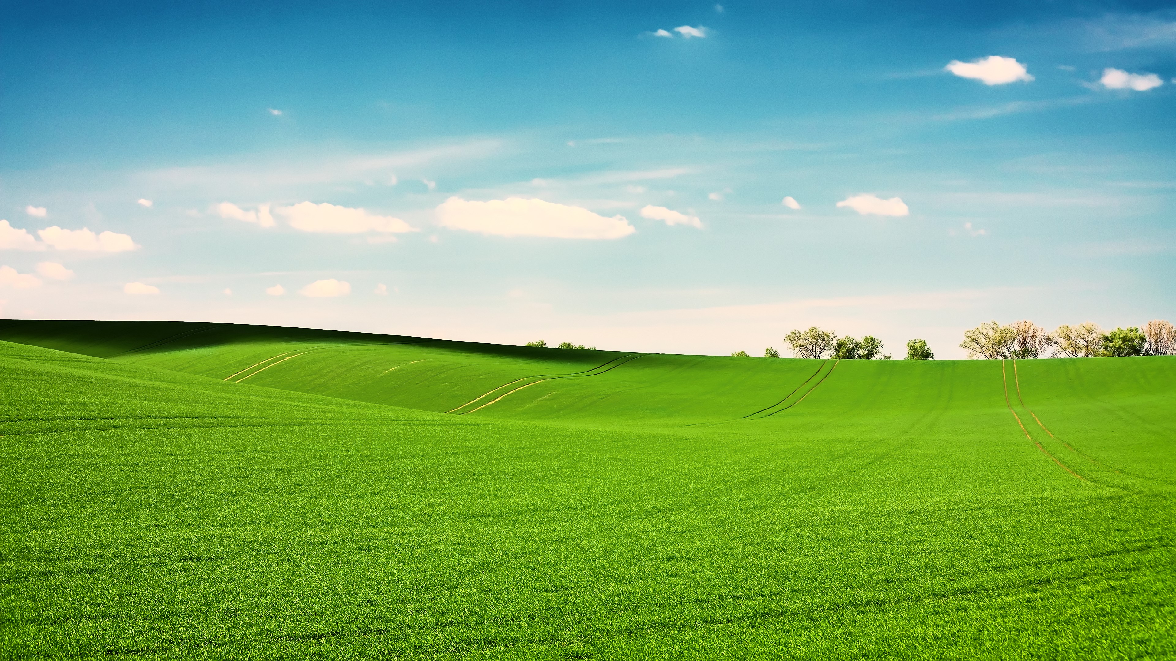 landscape, nature, clouds, field, sky, HD Wallpaper