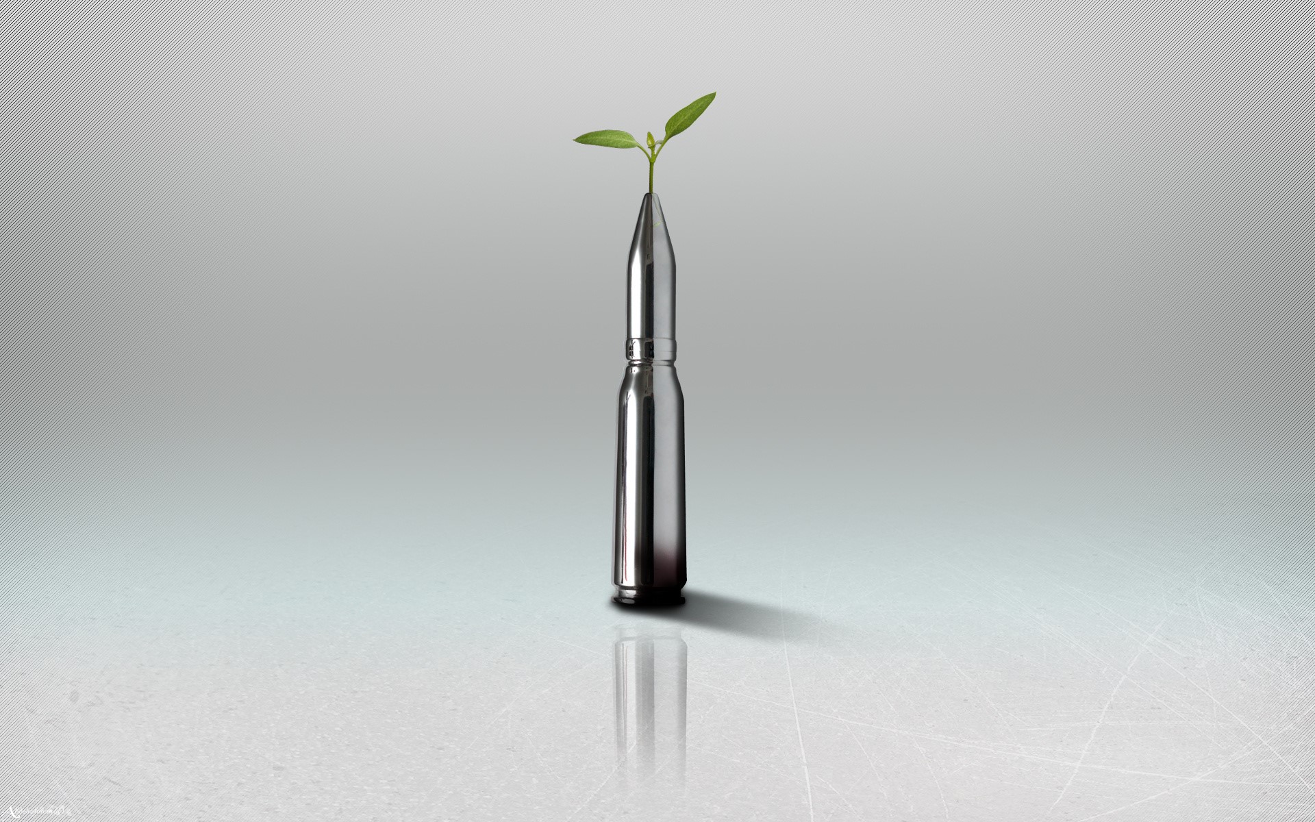 digital art, ammunition, plants, HD Wallpaper