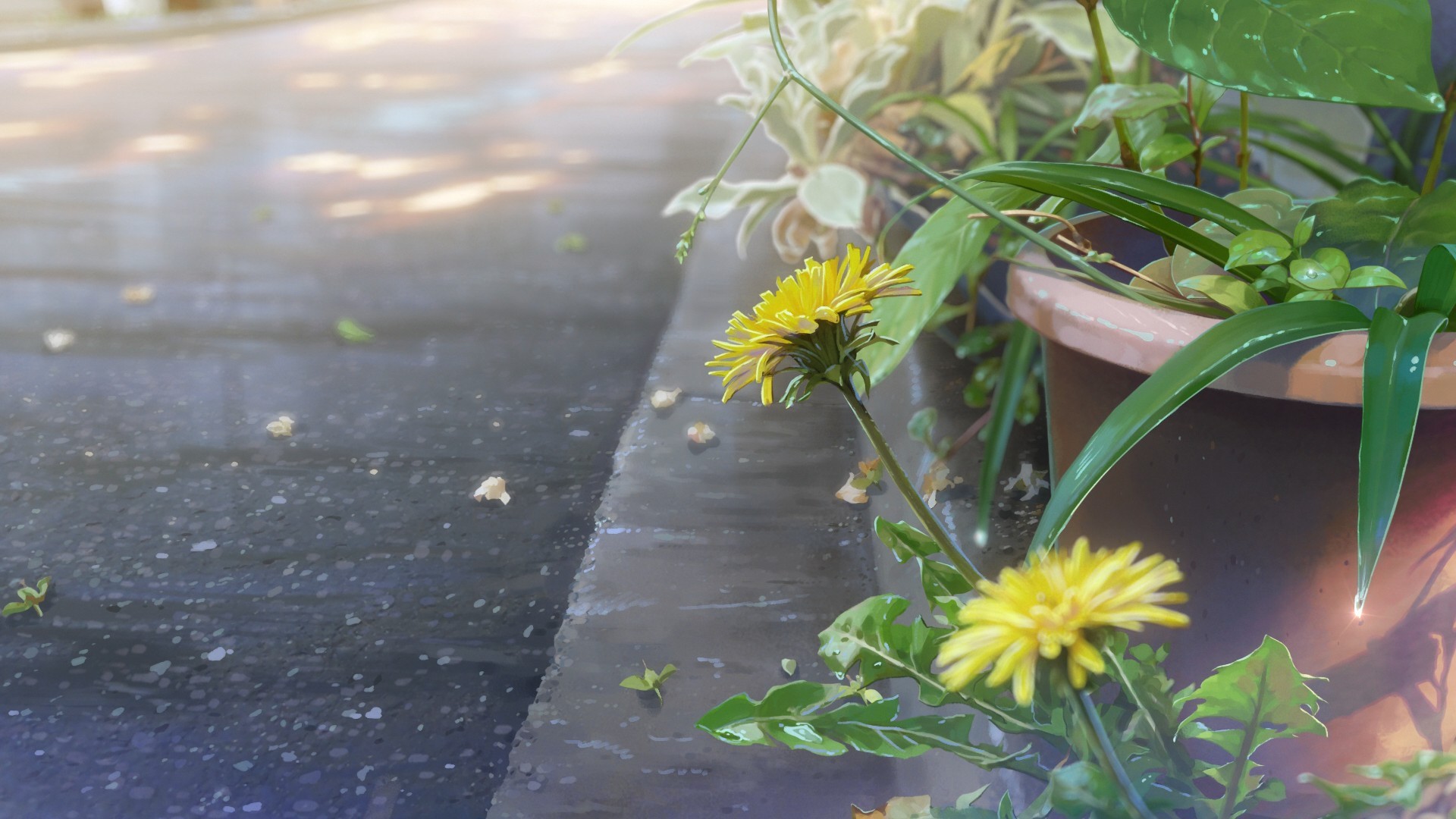 Kimi no Na Wa, Your Name, flowerpot, dandelion, street, realistic, HD Wallpaper