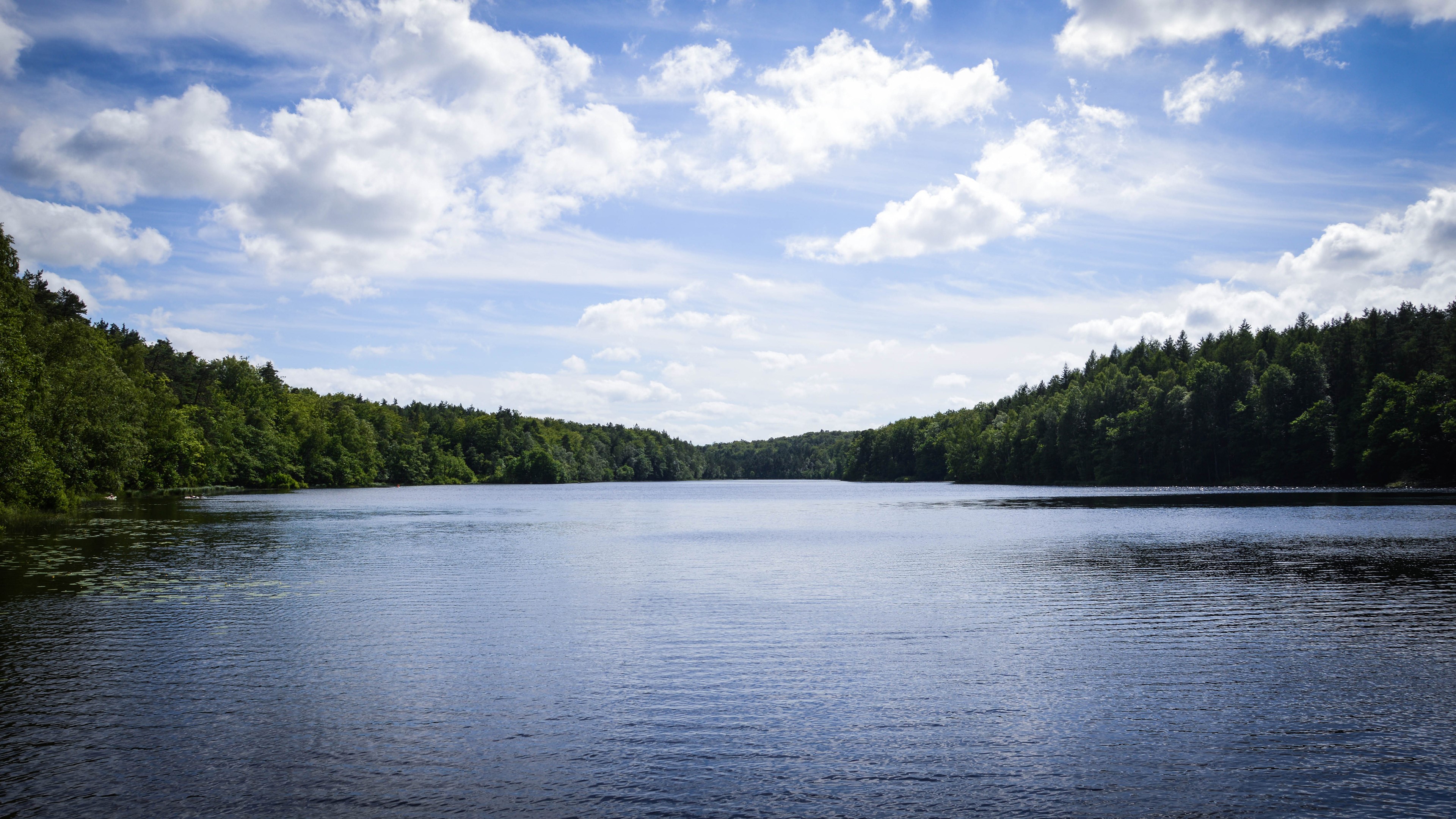landscape, lake, water, forest, HD Wallpaper