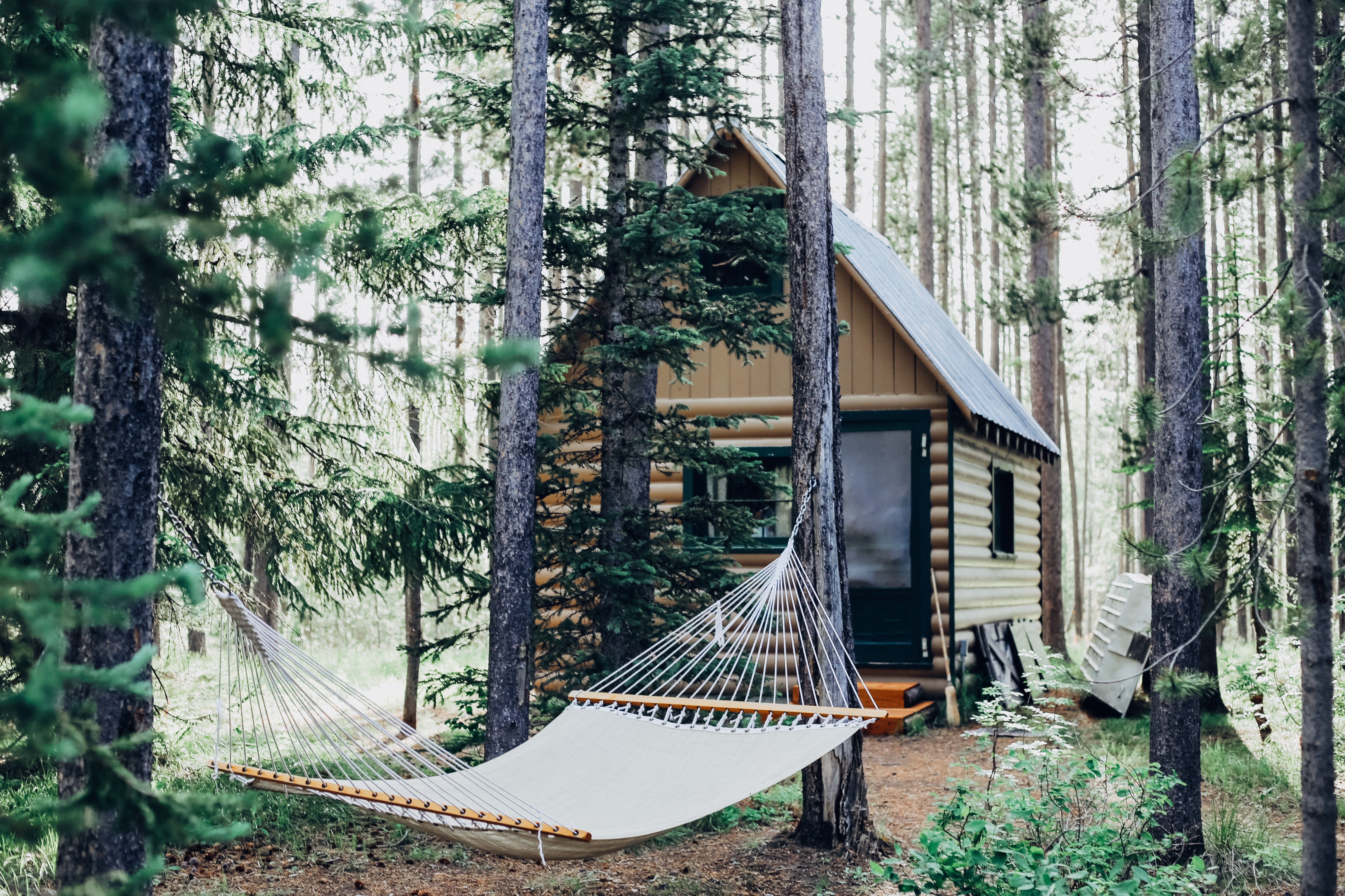 cabin, hammocks, forest, HD Wallpaper