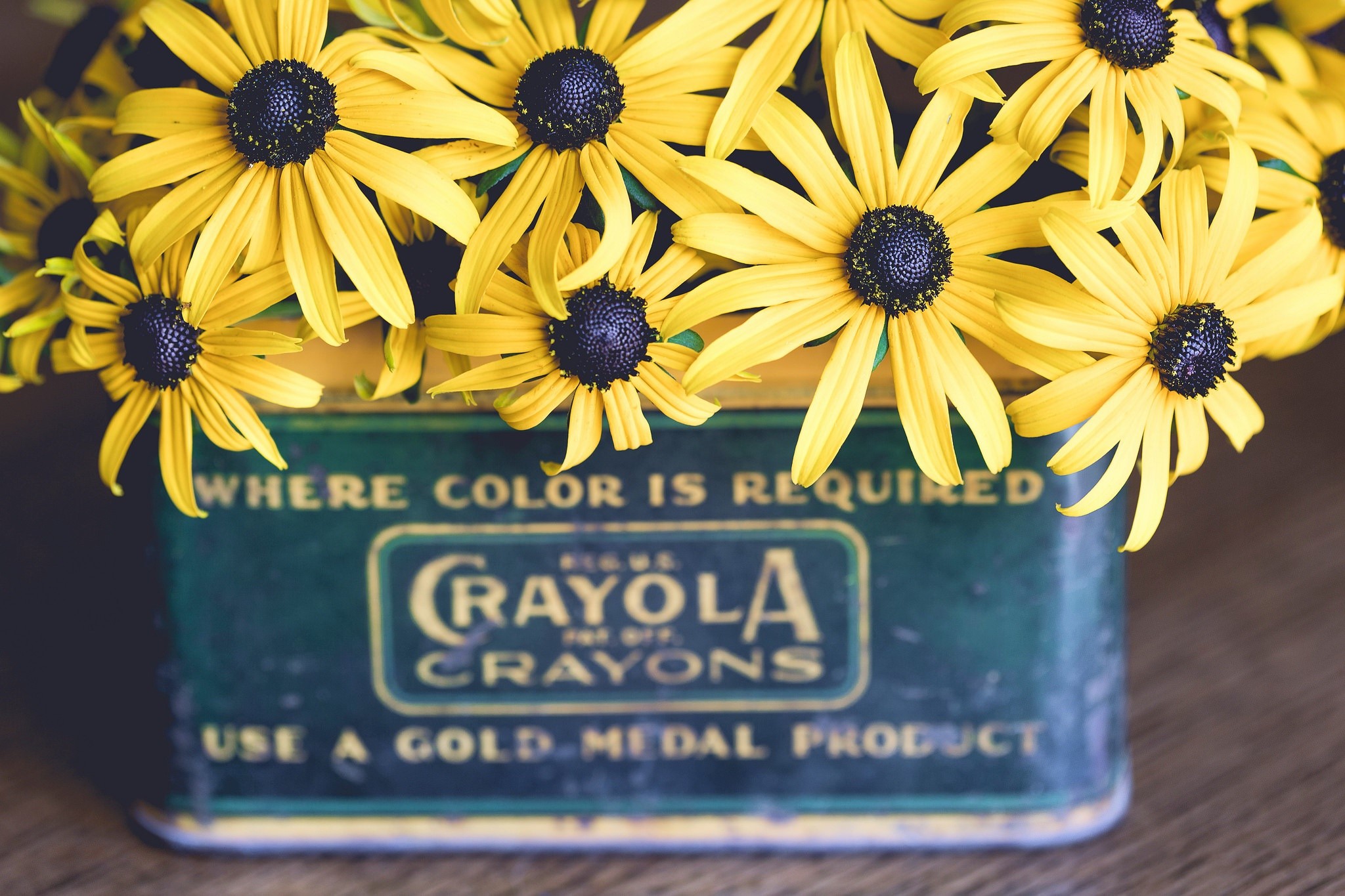 plants, boxes, yellow flowers, flowers, HD Wallpaper