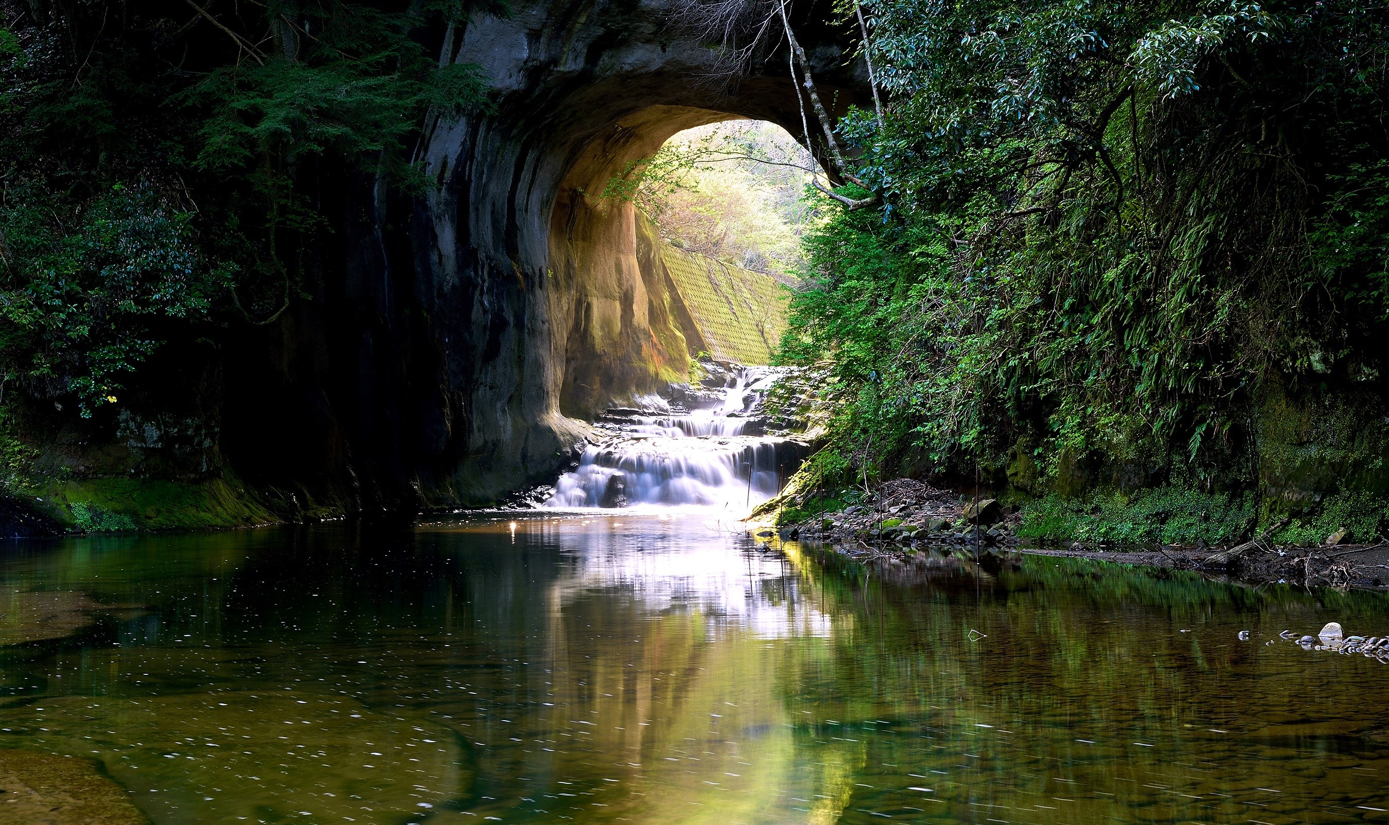 nature, water, plants, outdoors, HD Wallpaper