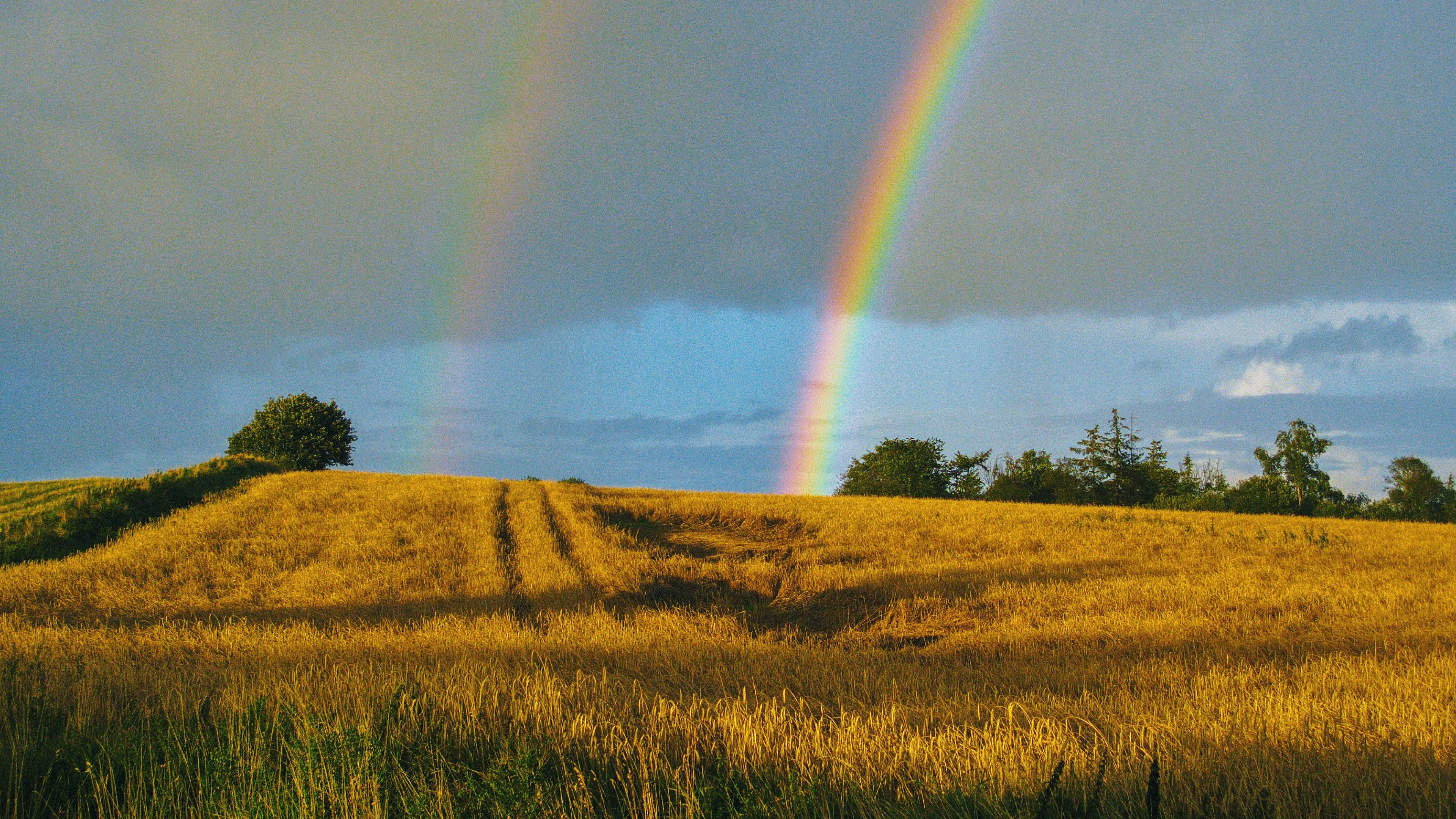 field, rainbow, landscape, sky, after rain, 4k, HD Wallpaper