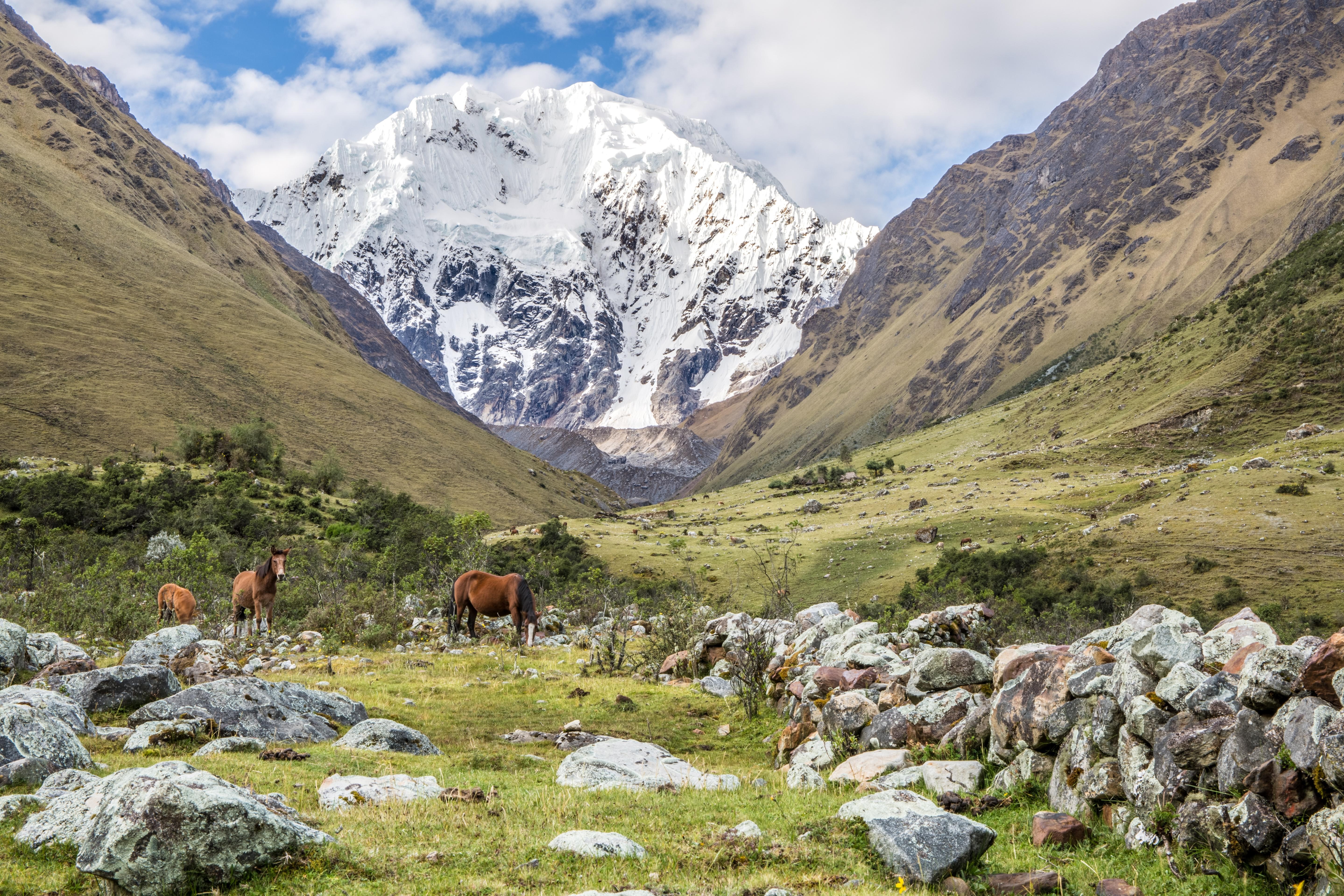 landscape, mountains, nature, horse, animals, stones, HD Wallpaper