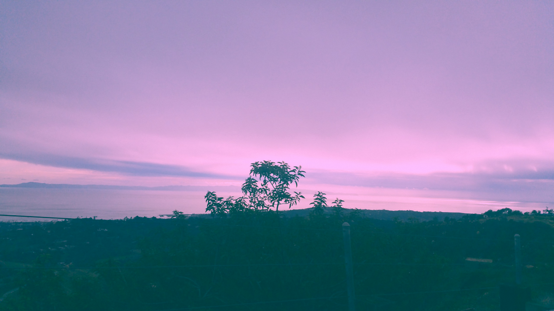 landscape, trees, sky, fence, HD Wallpaper