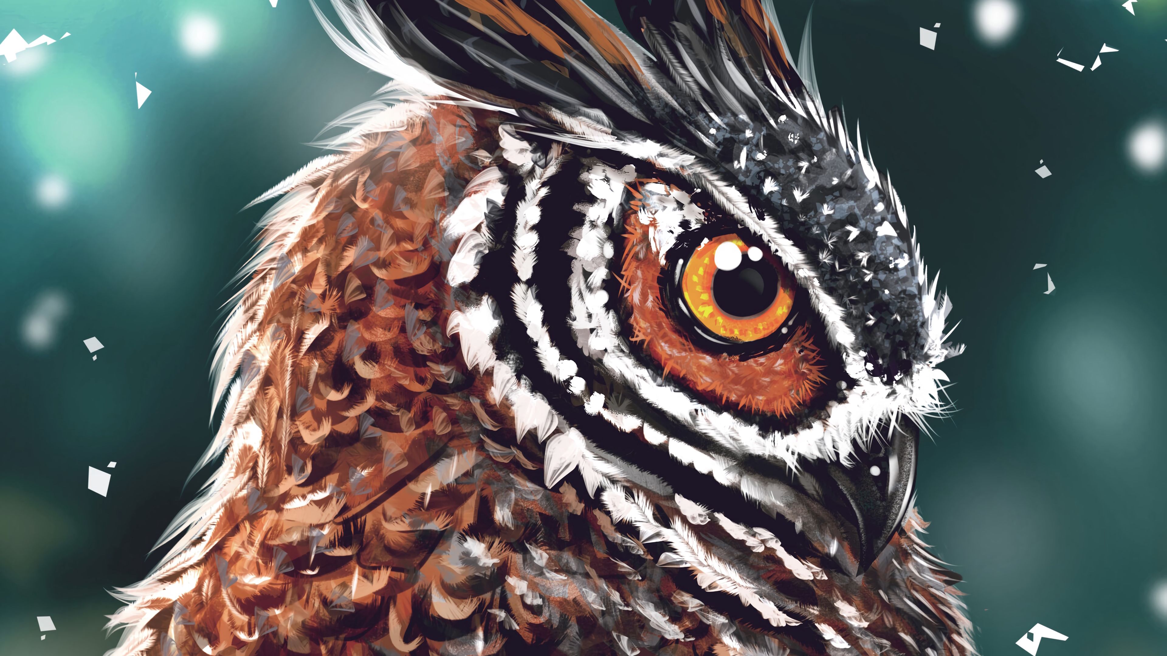 owl, bird, art, head, eye, beak, 4k, HD Wallpaper