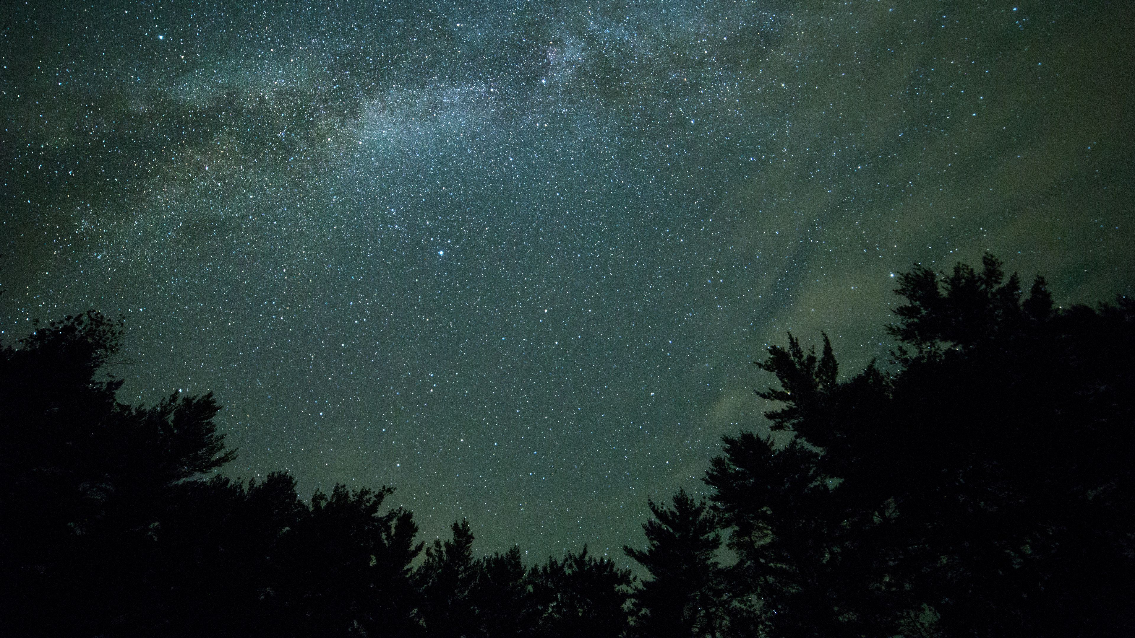 starry sky, night, trees, dark, milky way, 4k, HD Wallpaper