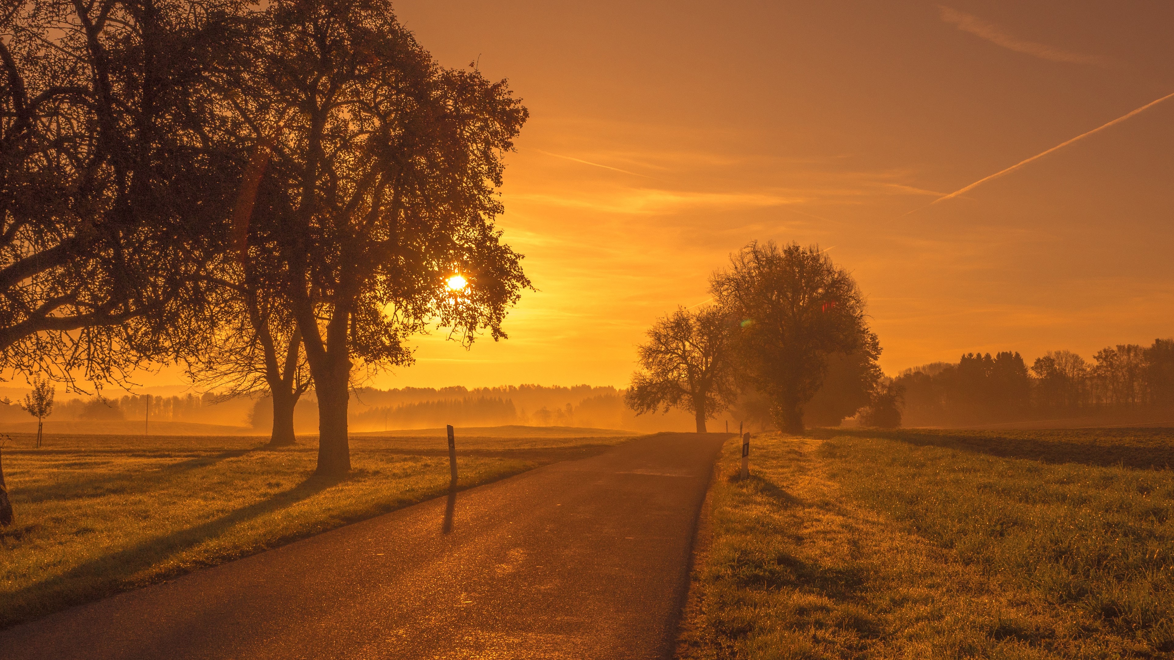 landscape, nature, field, sunset, HD Wallpaper