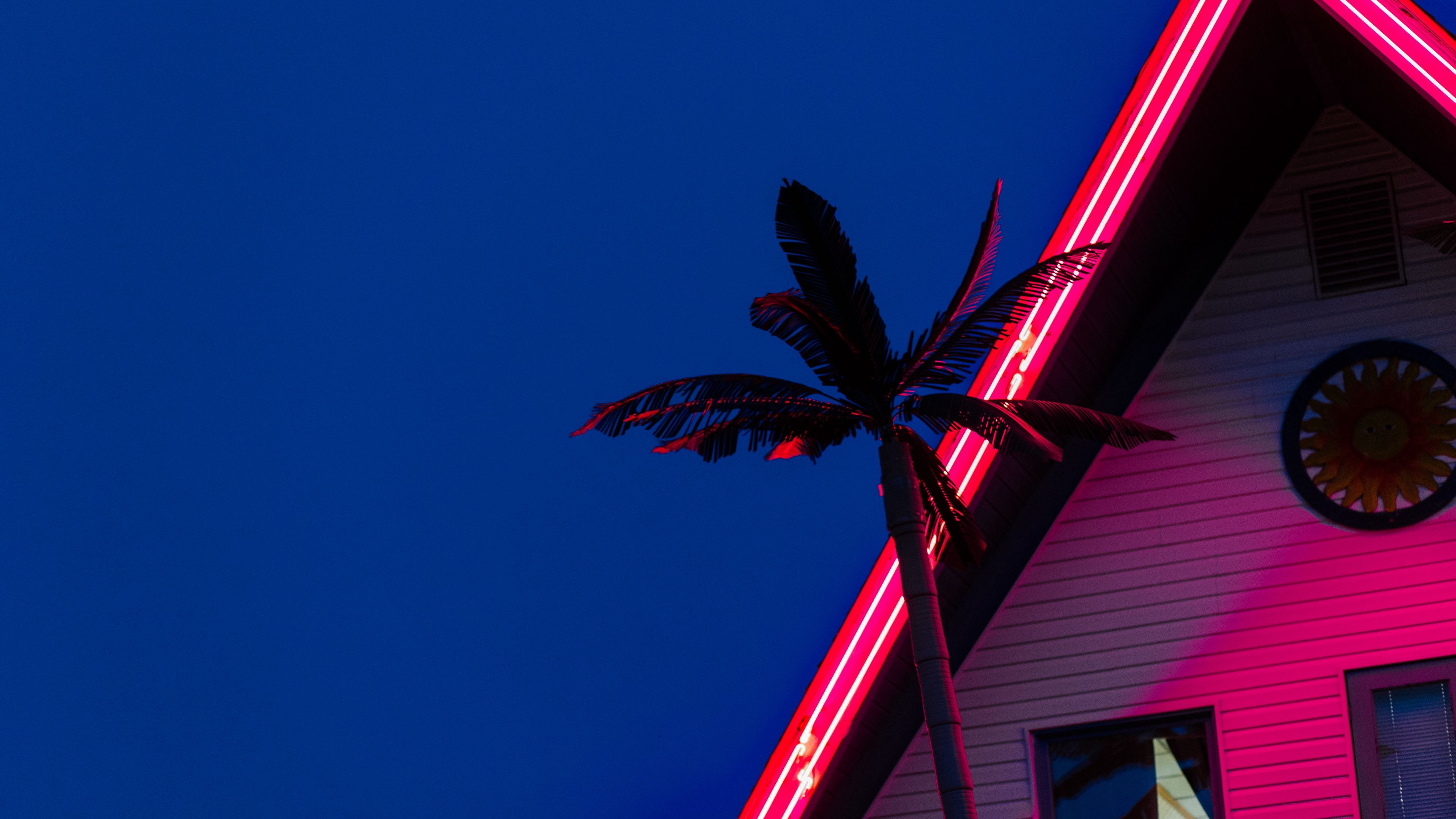palm, roof, neon, backlight, red, 4k, HD Wallpaper