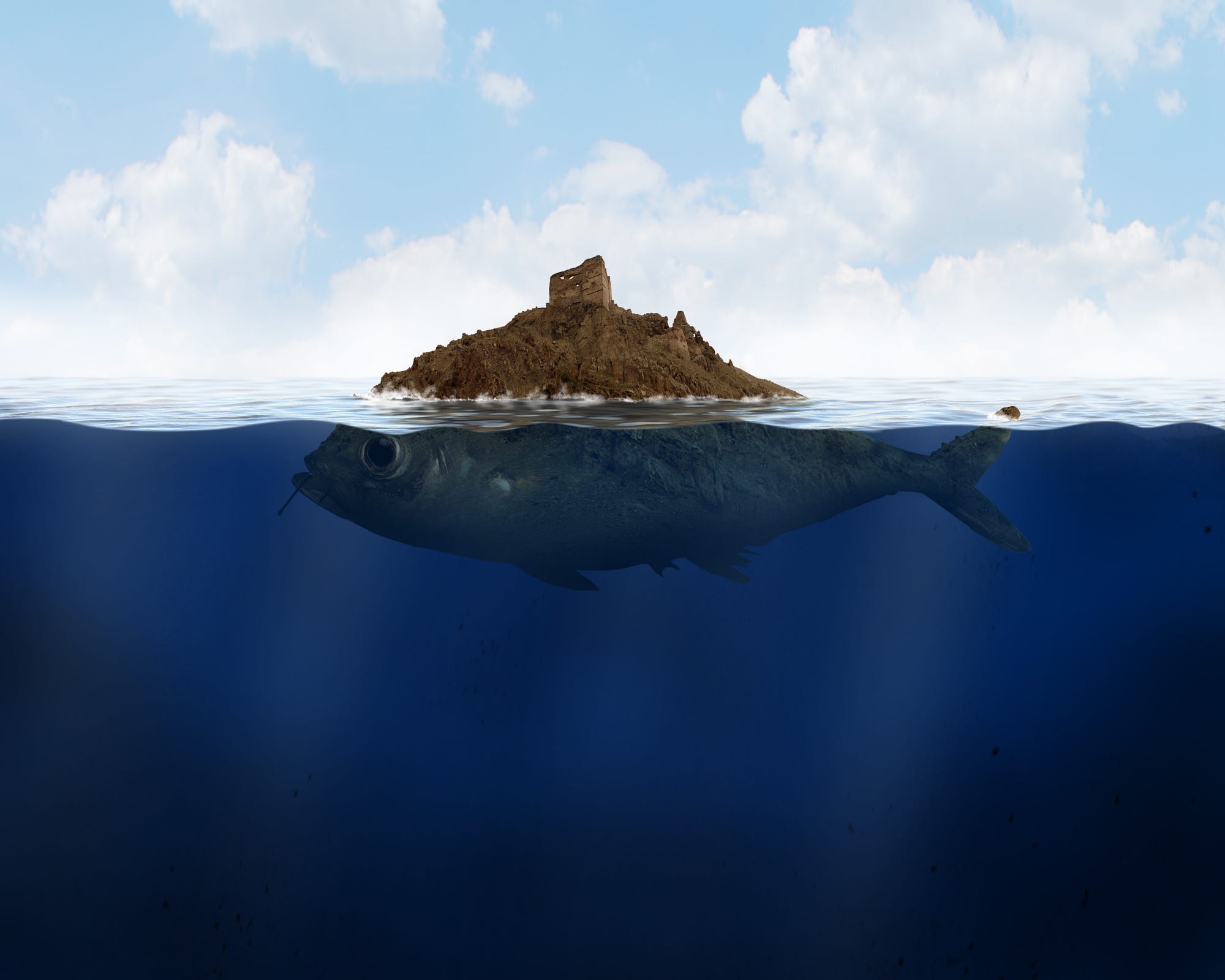 fish, underwater, digital art, Ozkan Durakoglu, HD Wallpaper