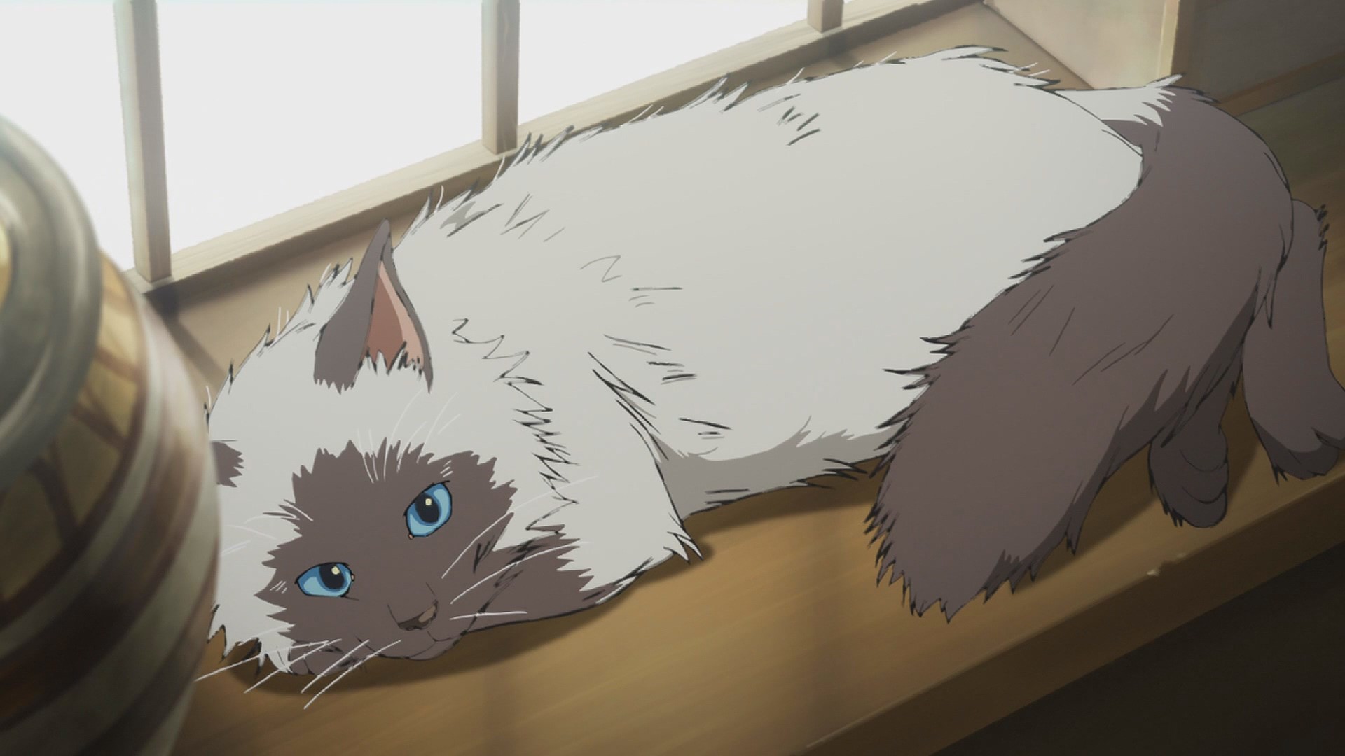 cats, anime, Granblue Fantasy, HD Wallpaper