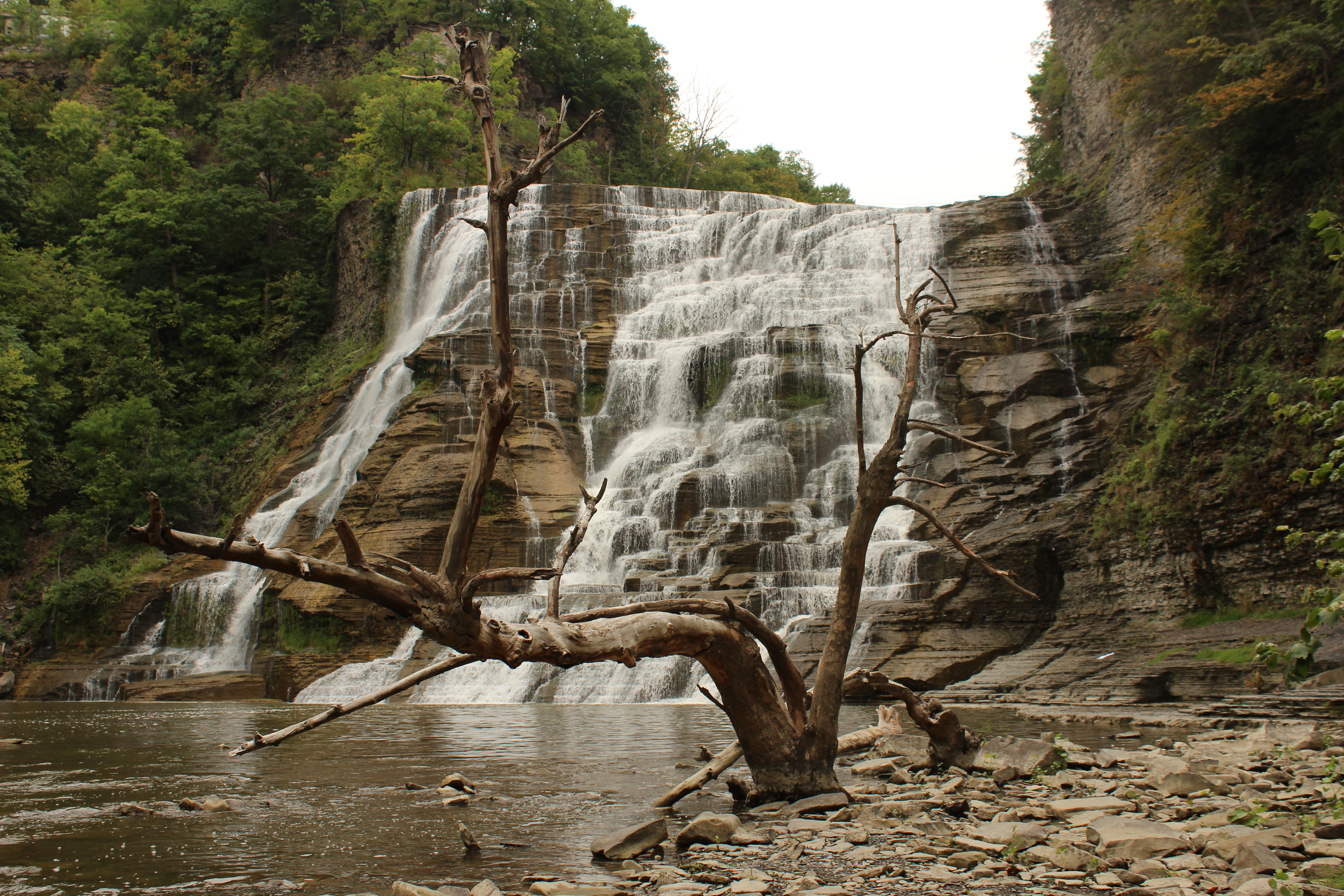 New York state, waterfall, dead trees, landscape, water, rock, rocks, HD Wallpaper