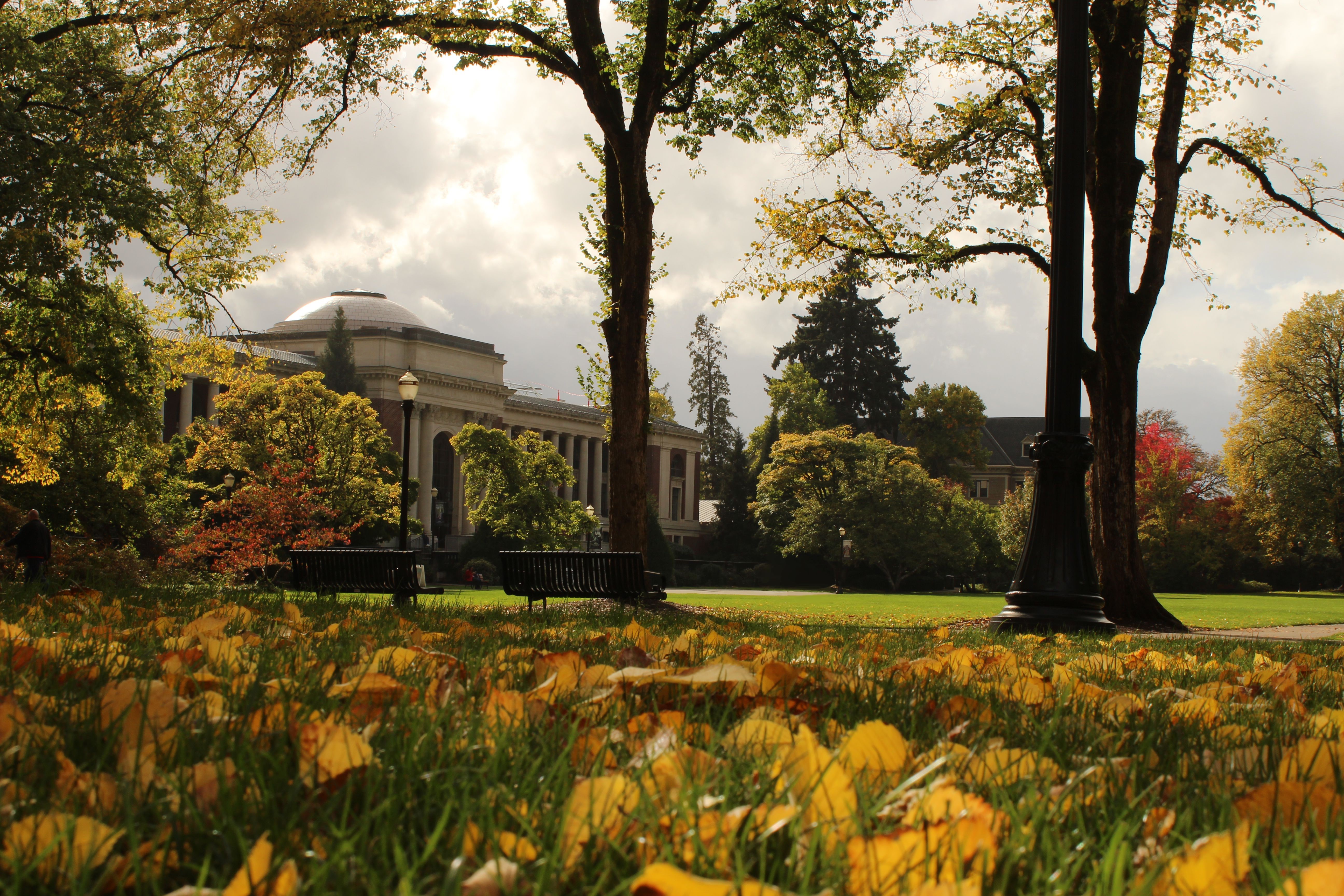 Oregon, old building, building, fall, leaves, grass, HD Wallpaper