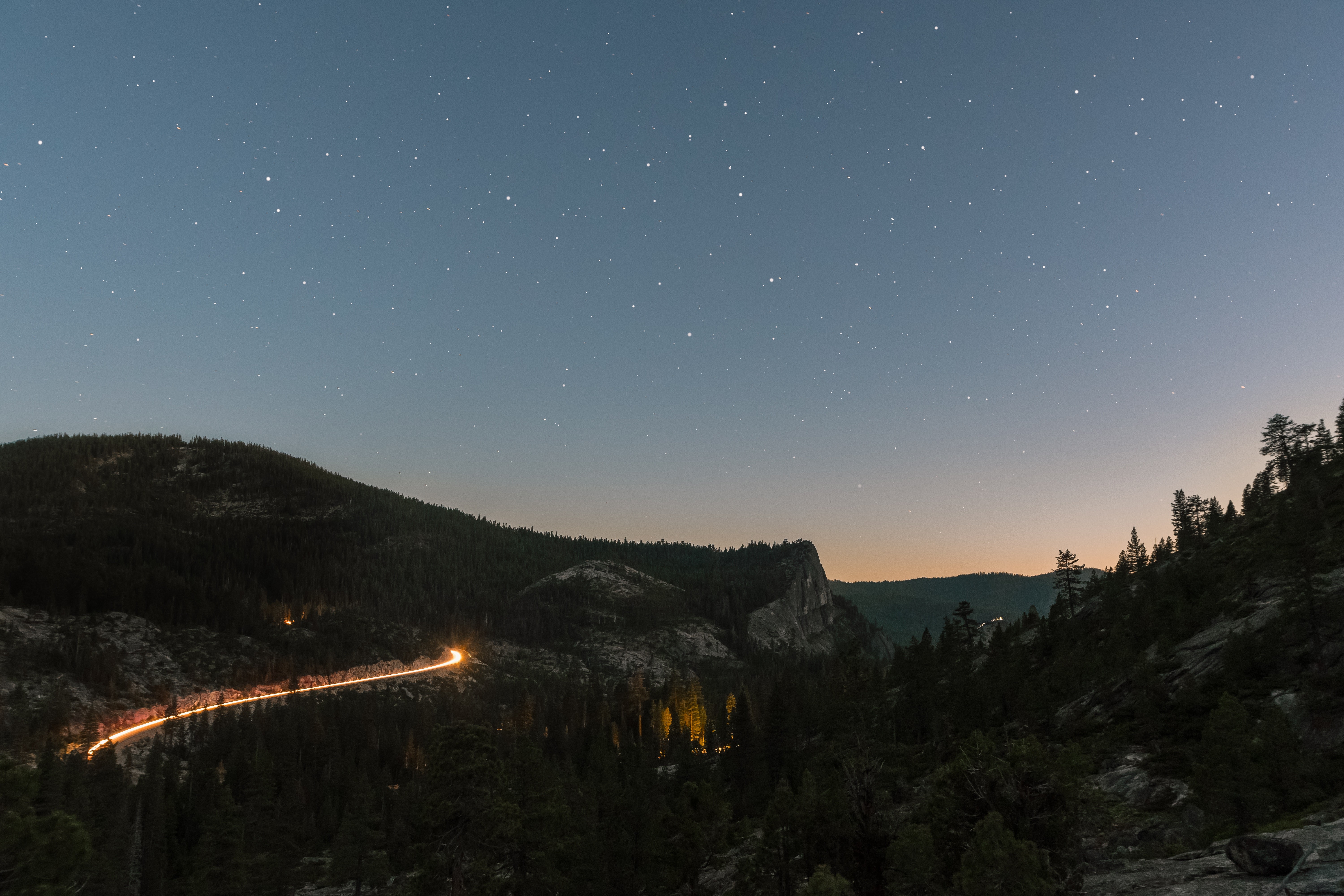 stars, forest, trees, mountains, light trails, HD Wallpaper