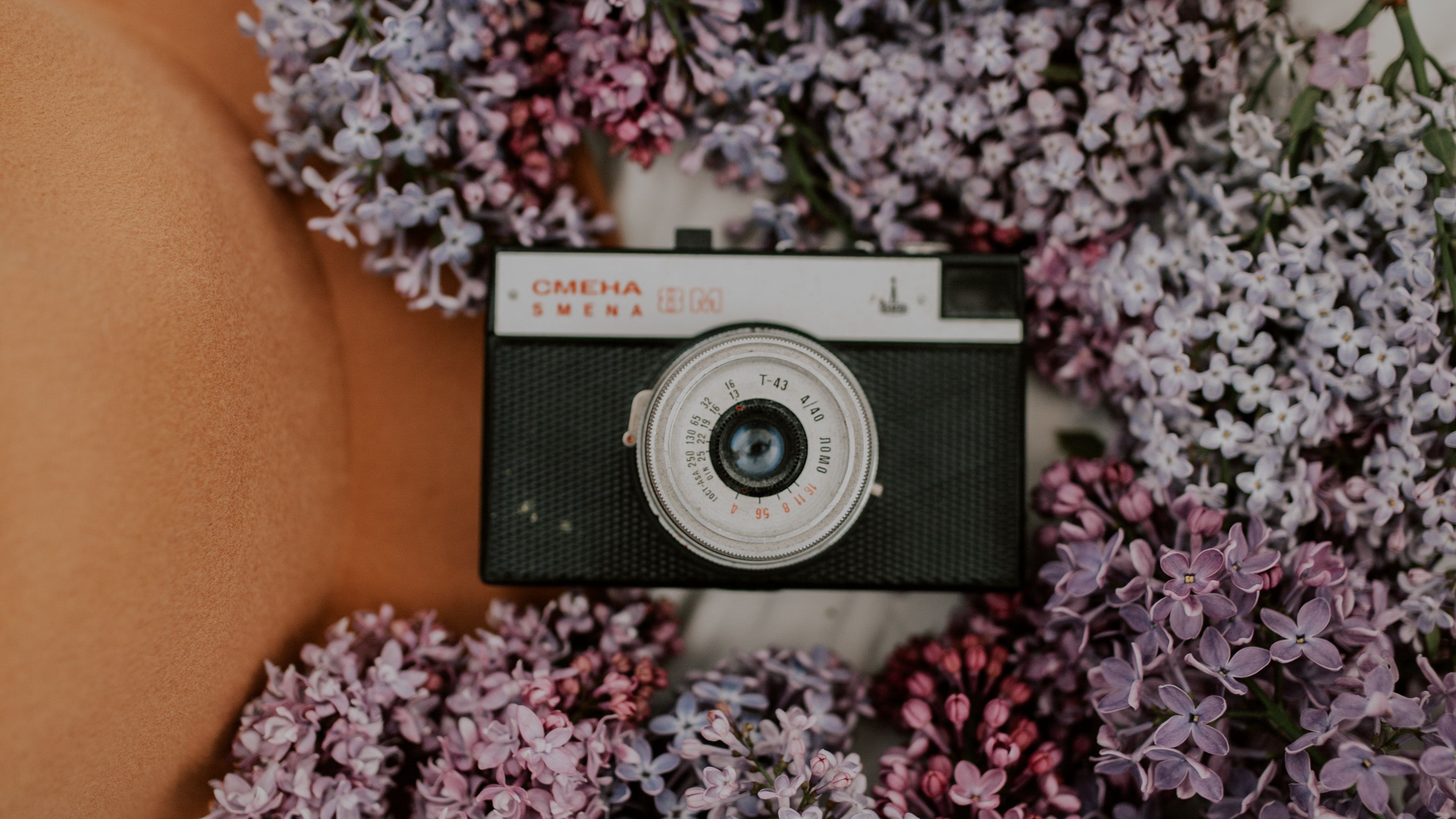 camera, retro, lilac, flowers, hat, 4k, HD Wallpaper