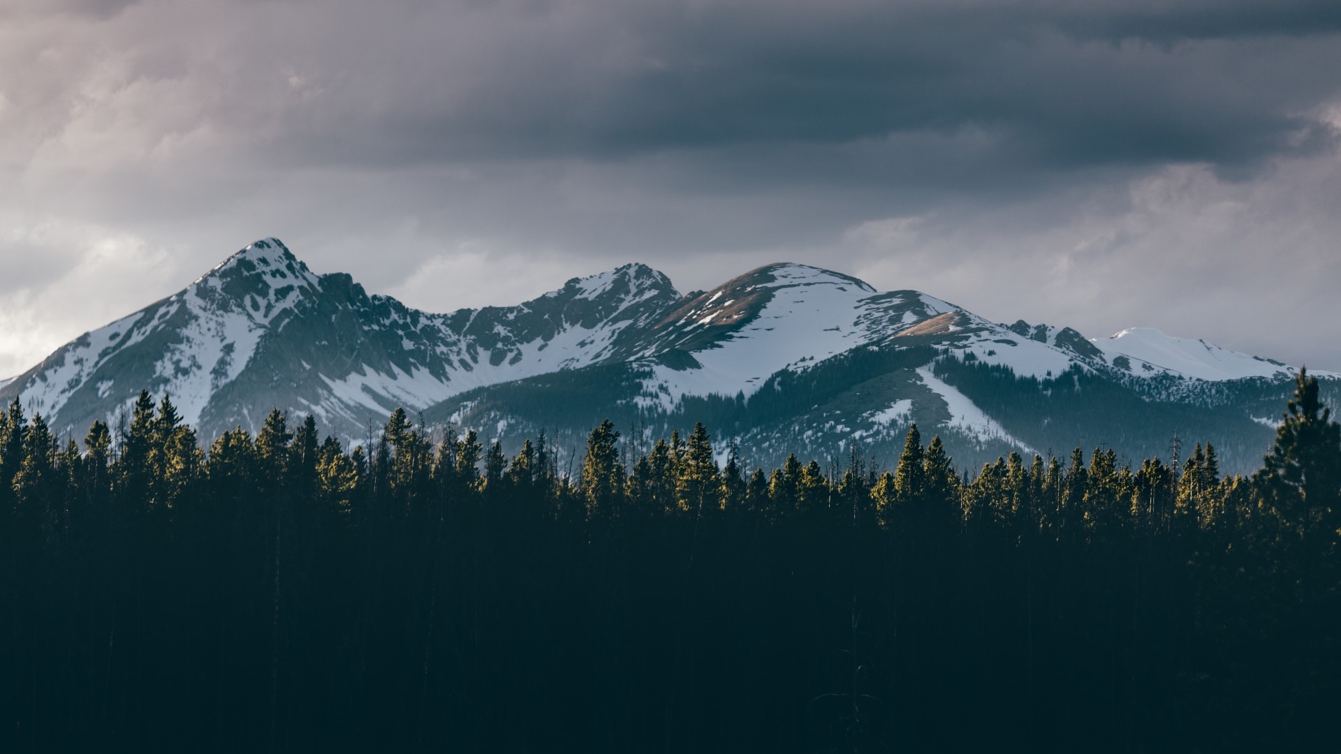 mountains, forest, nature, landscape, outdoors, overcast, clouds, HD Wallpaper