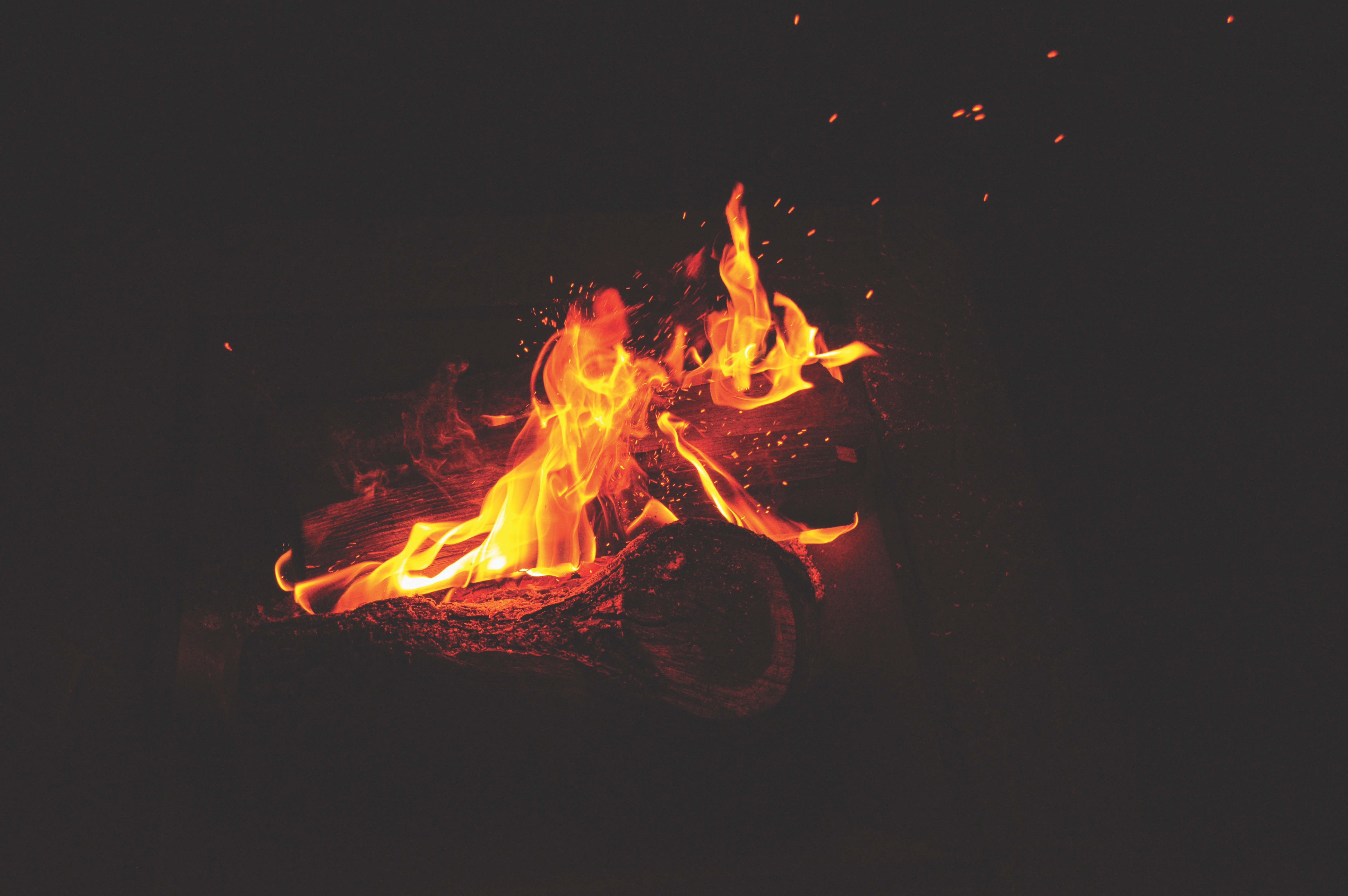 fire, campfire, log, HD Wallpaper