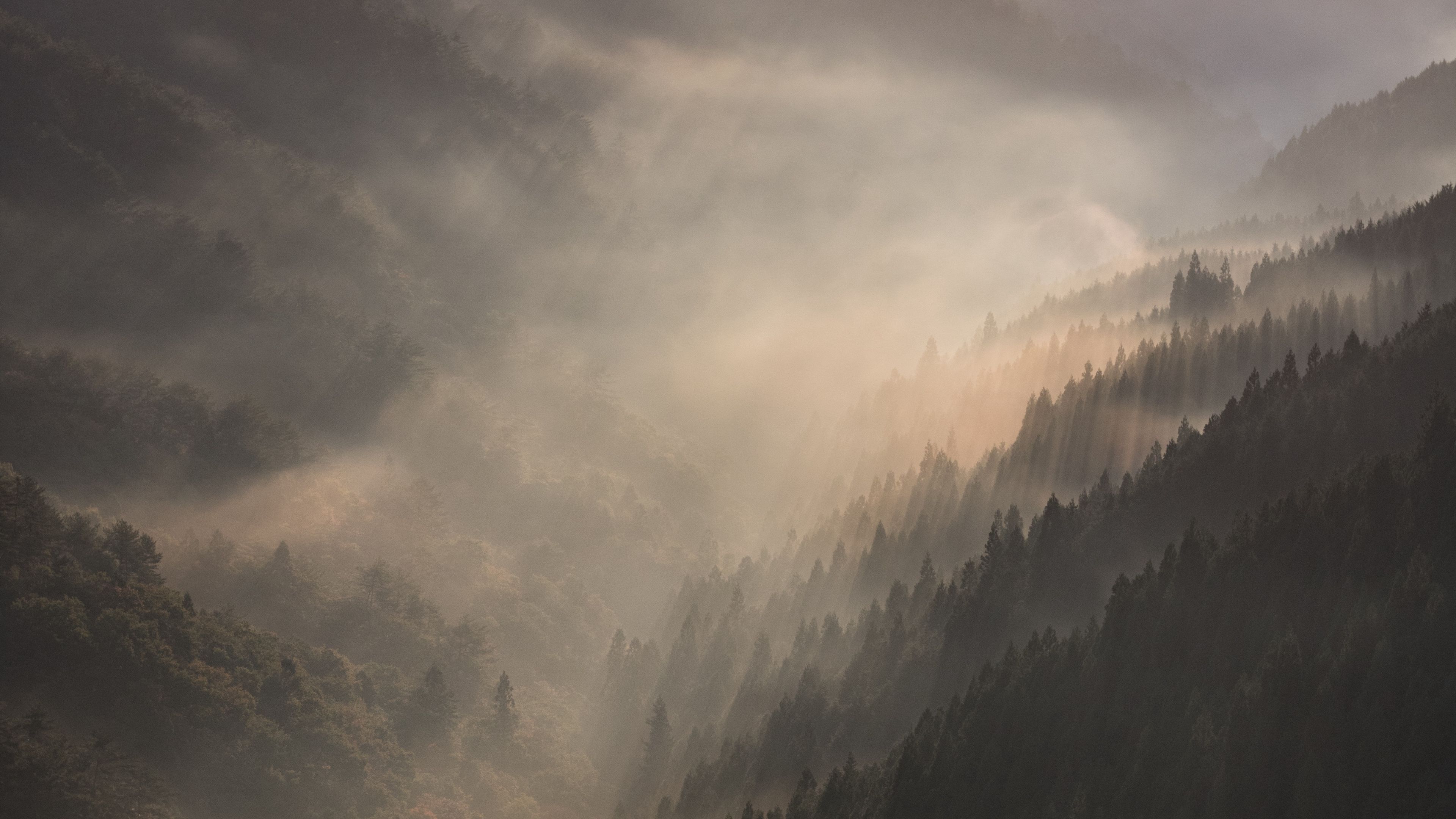 mountains, fog, sundawn, forest, landscape, 4k, HD Wallpaper
