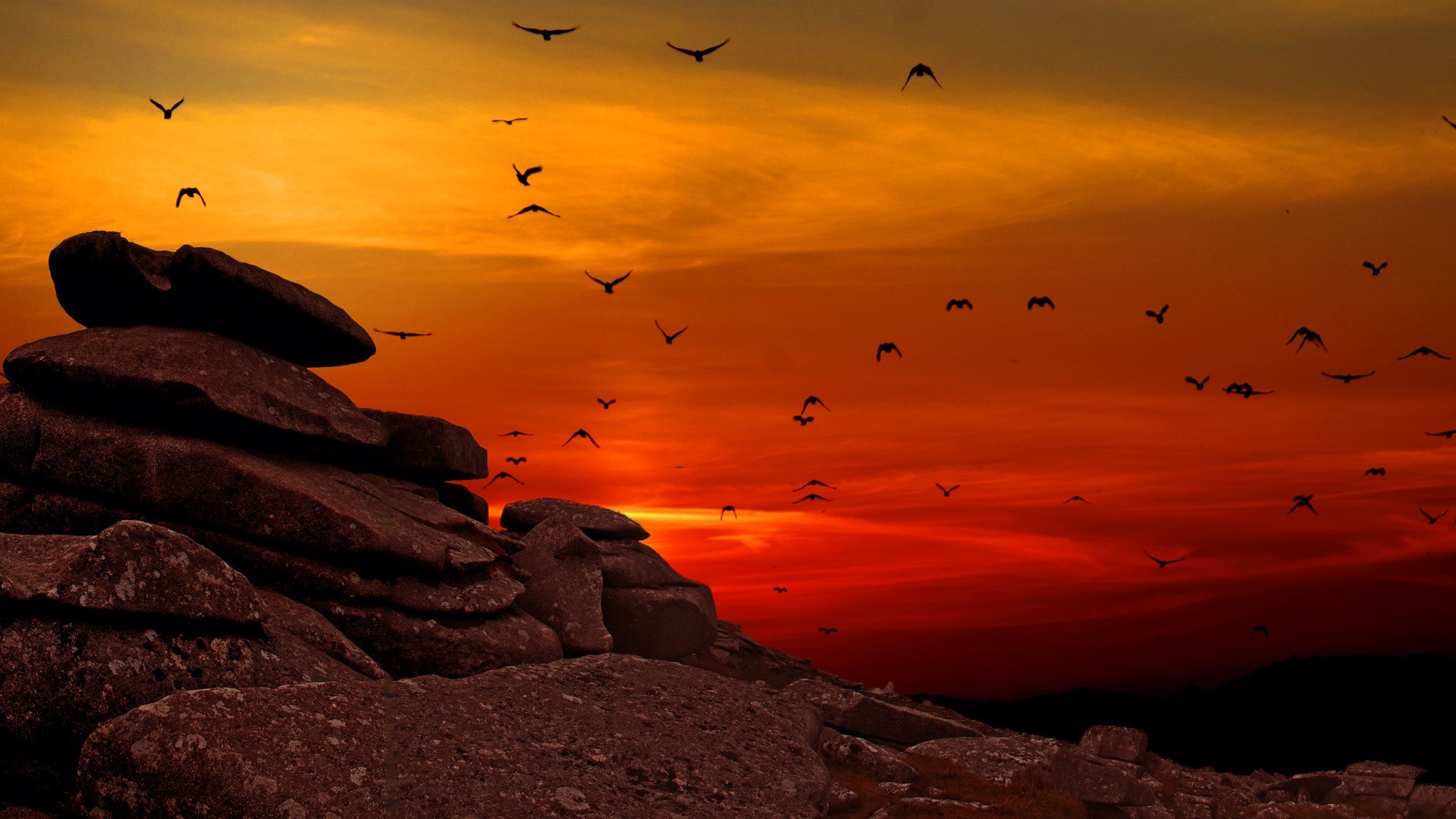 nature, animals, birds, landscape, rock, sunset, stones, hills, clouds, HD Wallpaper