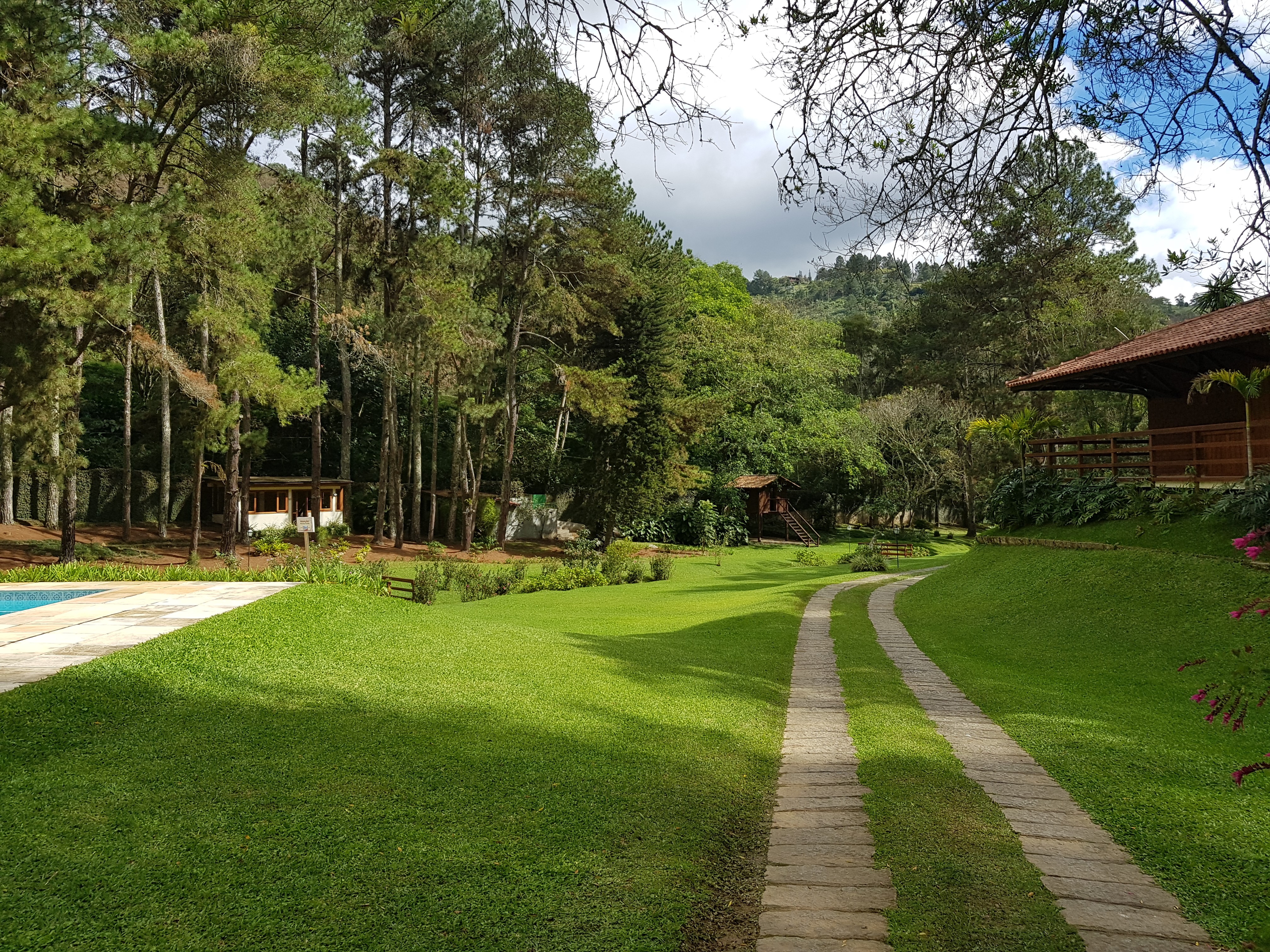 Brazil, grass, swimming pool, trees, forest, hut, flowers, HD Wallpaper