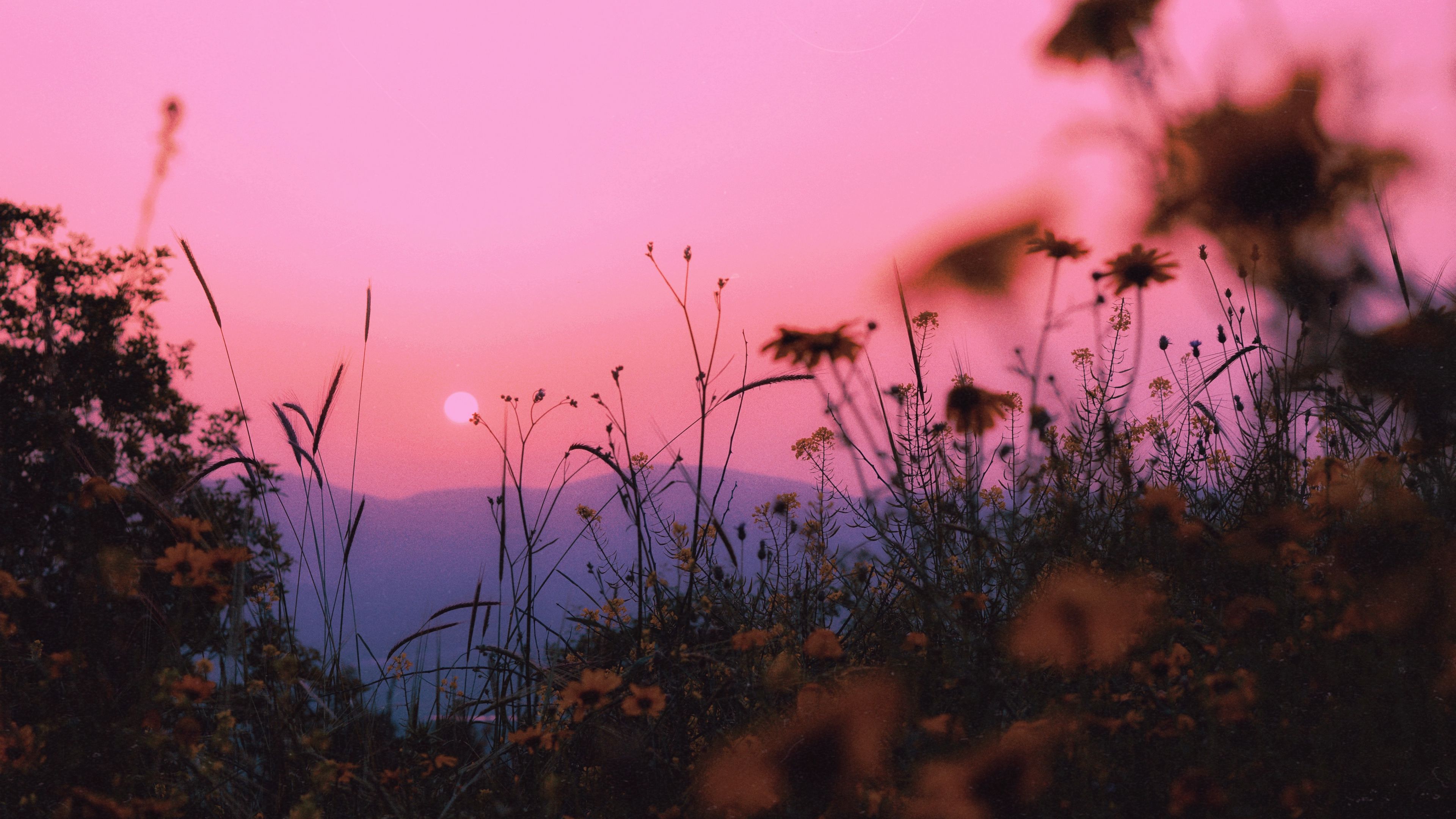 landscape, grass, sun, mountains, sunset, horizon, 4k, HD Wallpaper