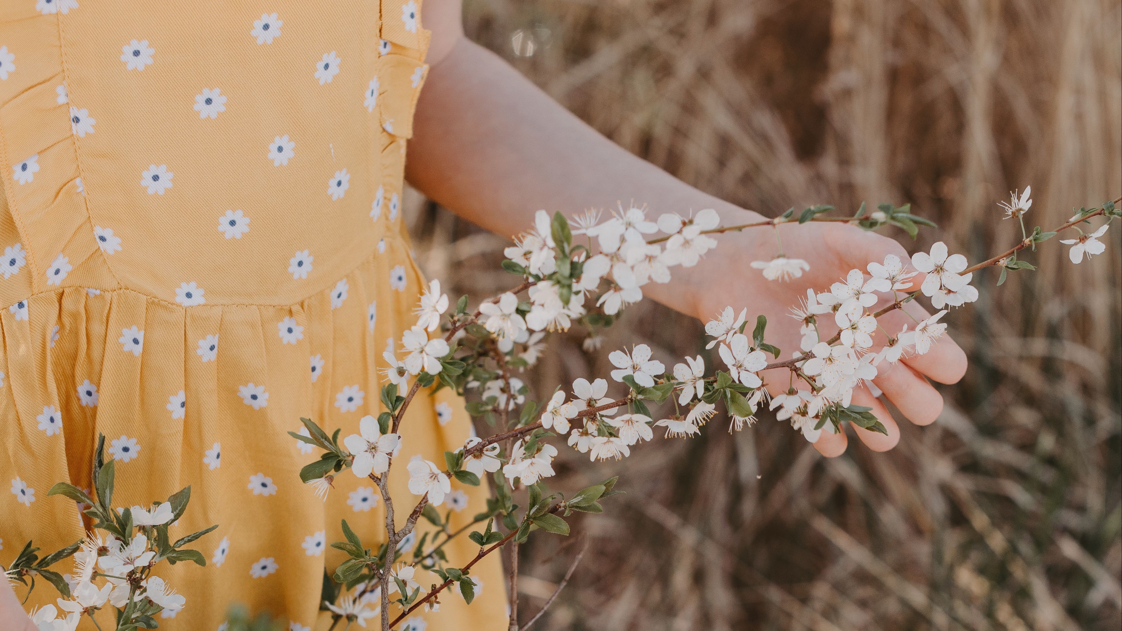 branches, flowers, hand, basket, dress, 4k, HD Wallpaper