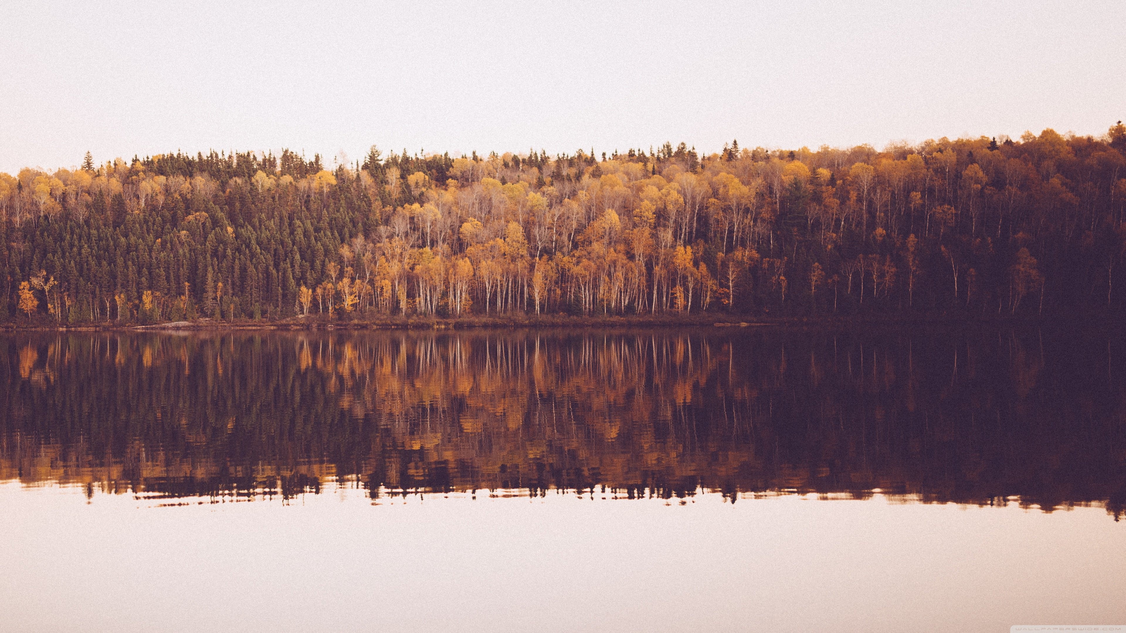 landscape, photography, forest, HD Wallpaper