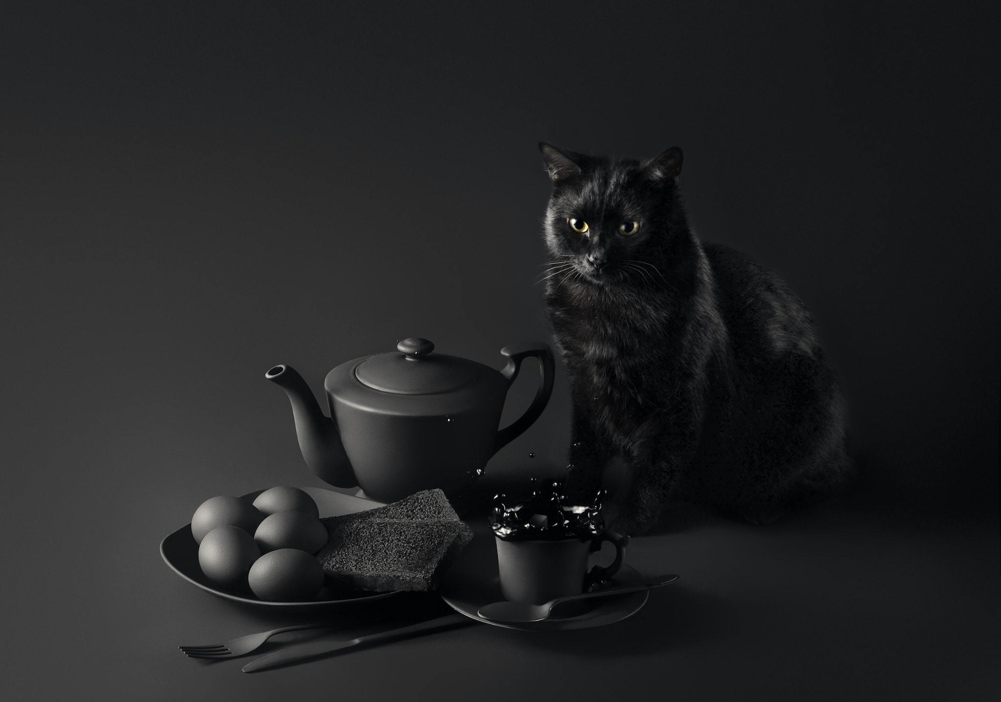 still life, eggs, cup, dark, 500px, cats, animals, Sanket Khuntale, HD Wallpaper