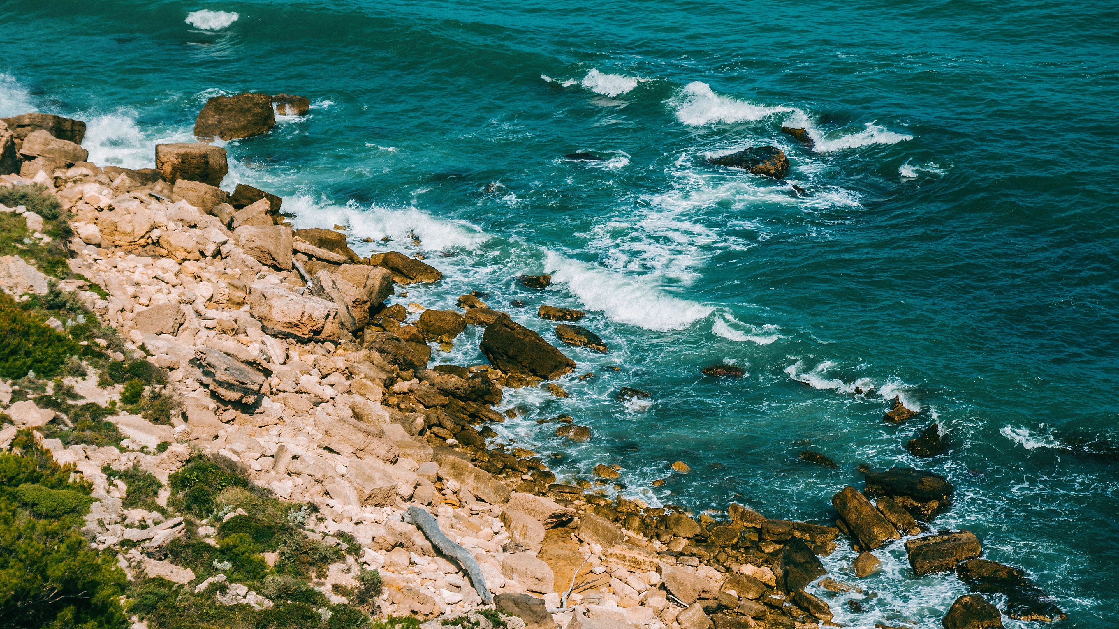 shore, sea, stones, waves, surf, vegetation, 4k, HD Wallpaper